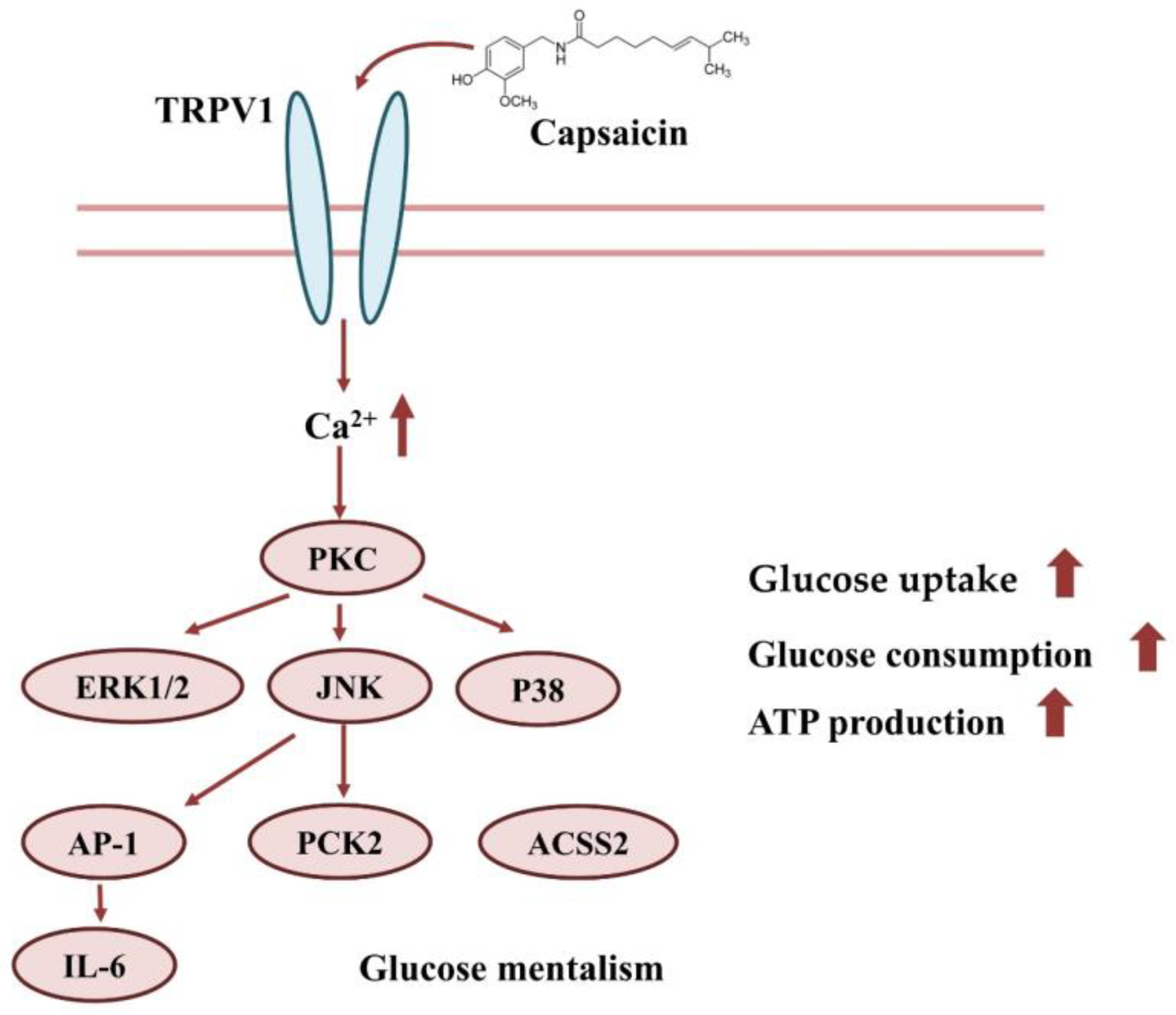 Molecules 28 05258 g008