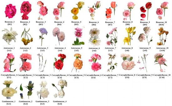 Molecules | Free Full-Text | Comprehensive Analysis of 34 Edible Flowers by  the Determination of Nutritional Composition and Antioxidant Capacity  Planted in Yunnan Province China