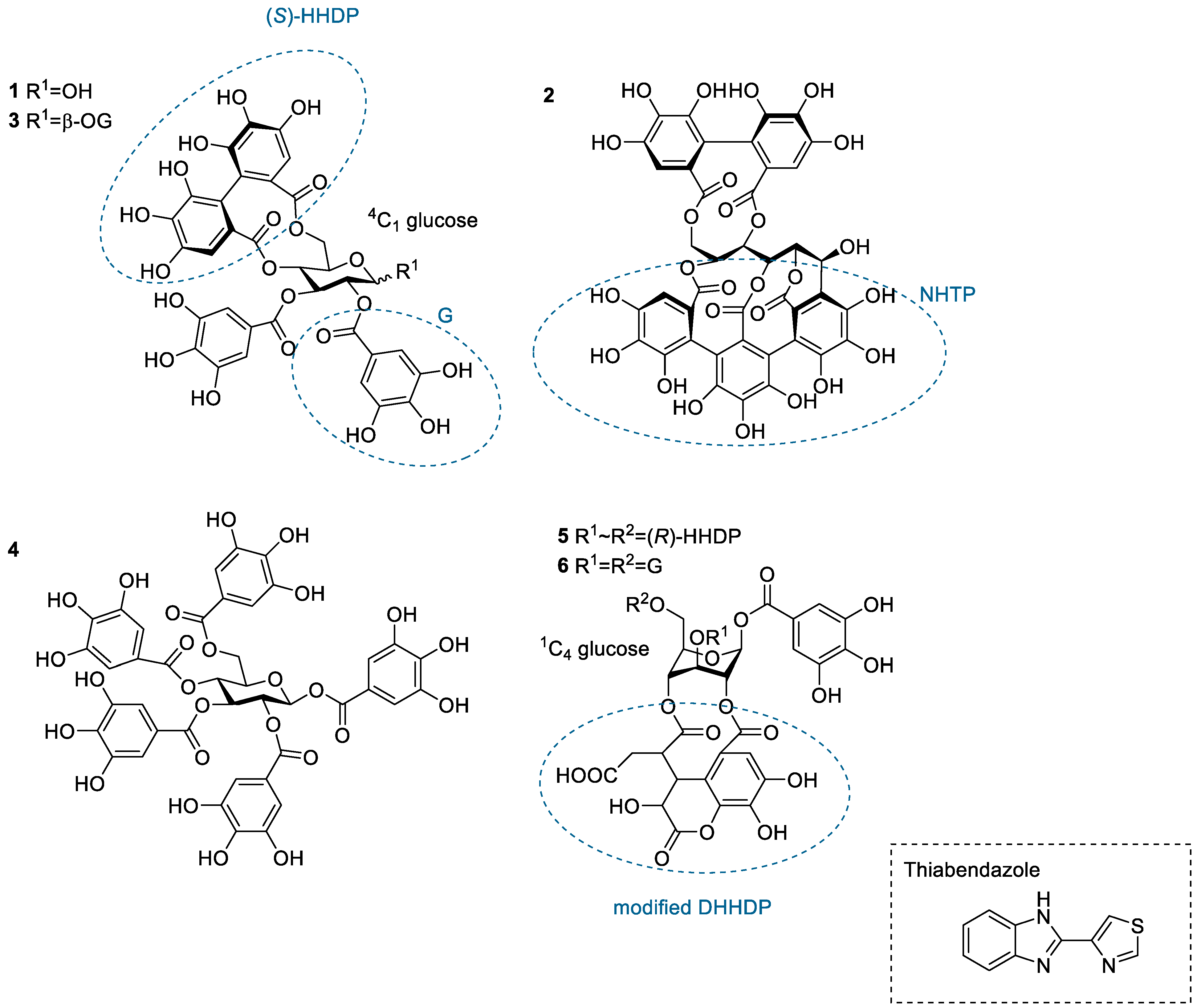 Molecules 28 05261 g001 Molecules 28 05261 g001