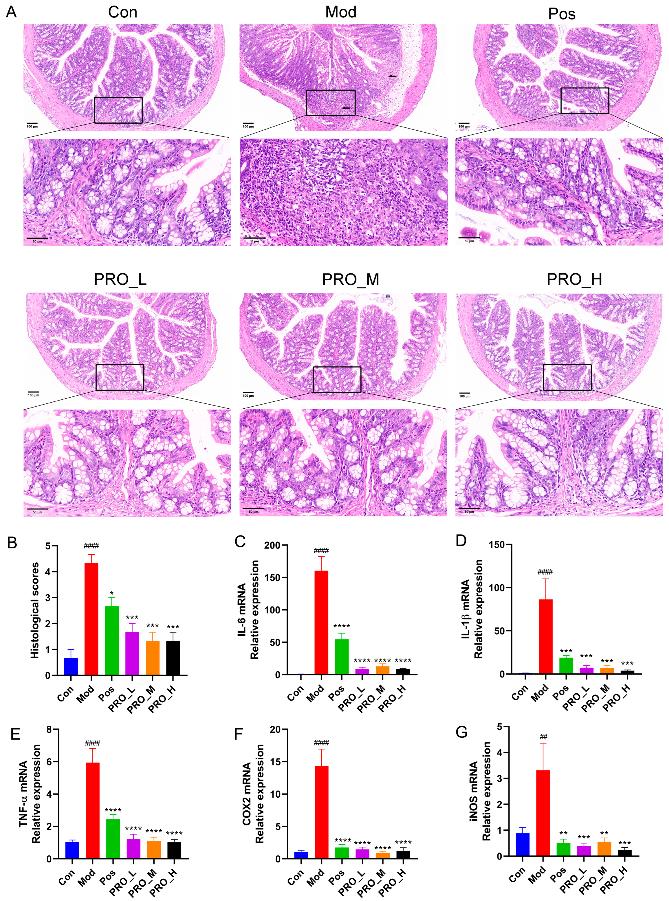 Molecules 28 05277 g002