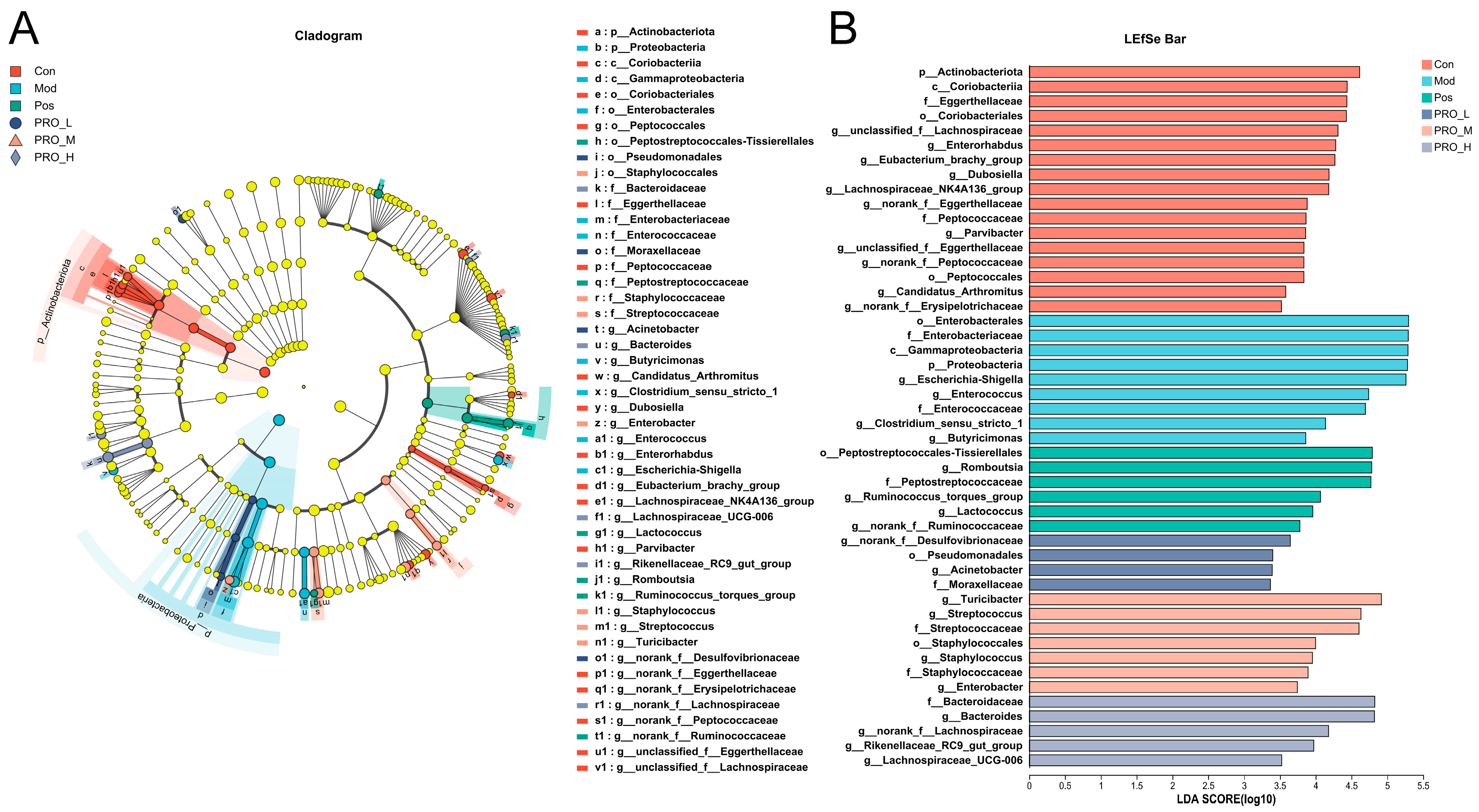 Molecules 28 05277 g006