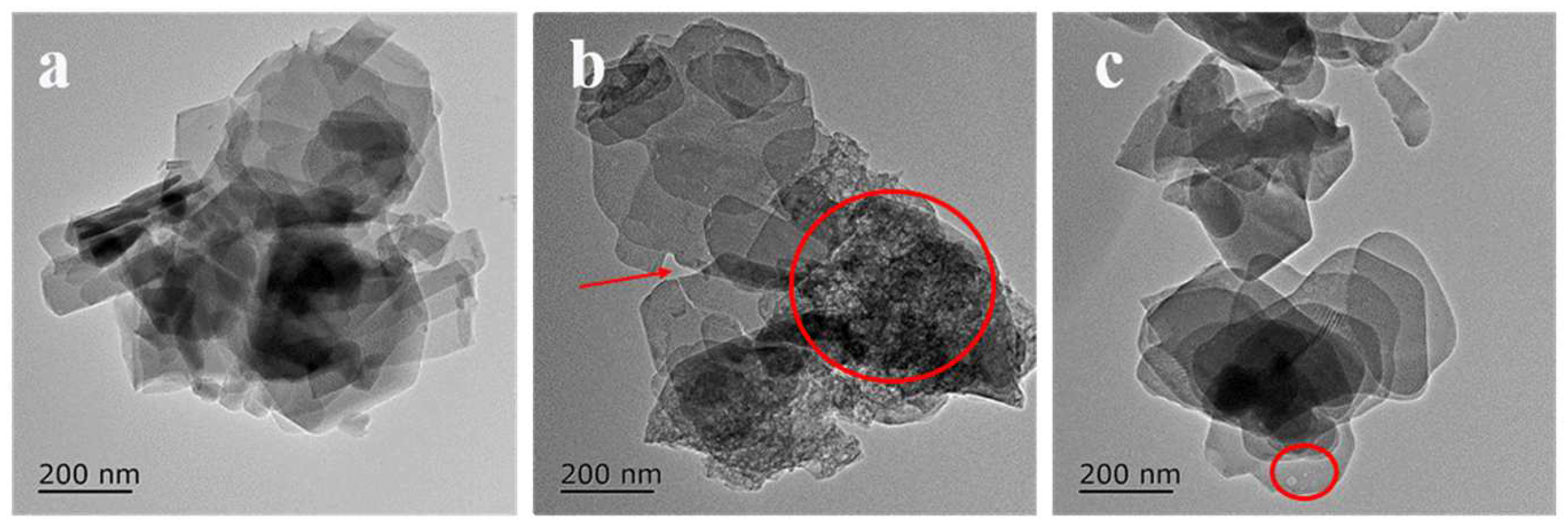Molecules 28 05279 g003