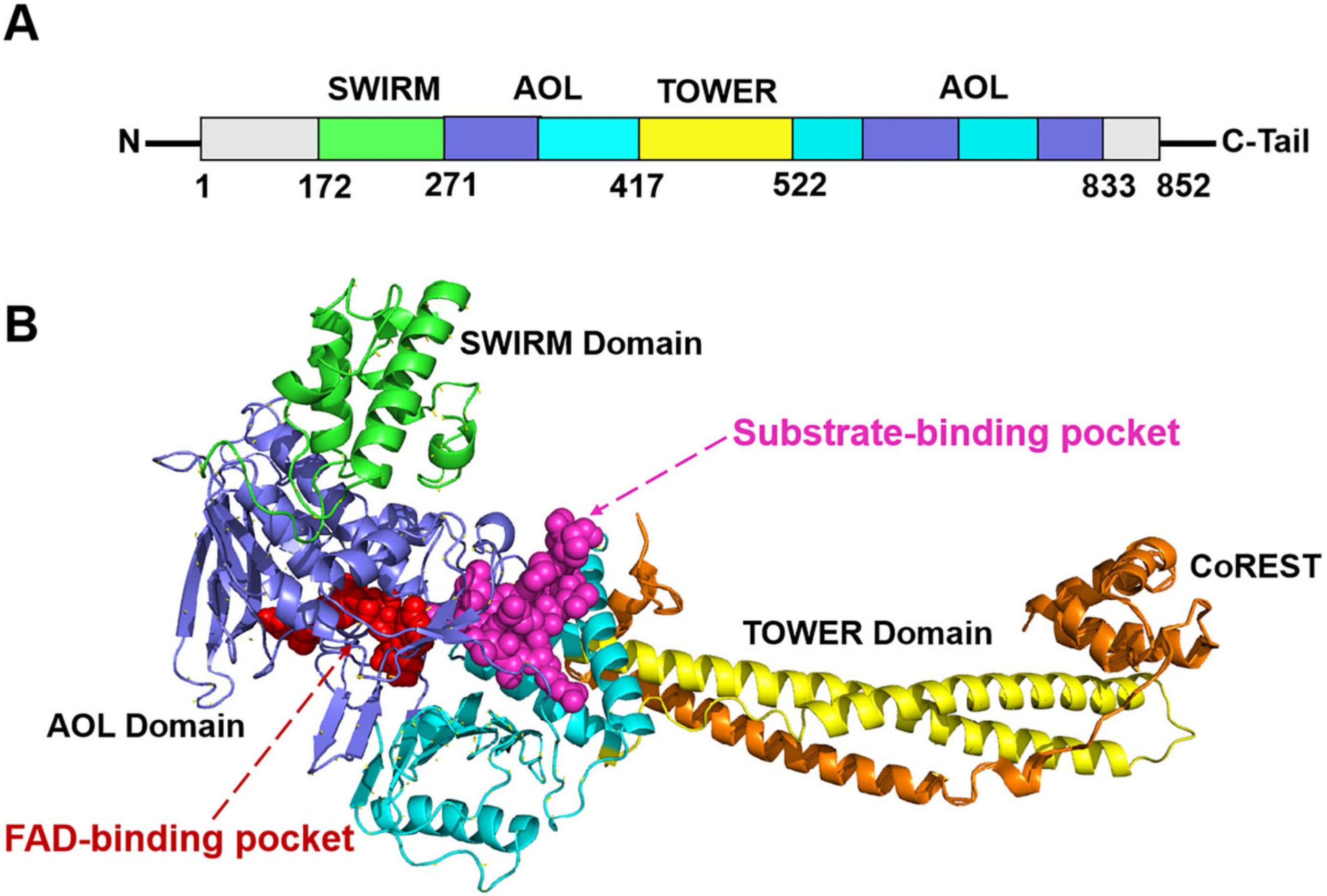 Molecules 28 05315 g001