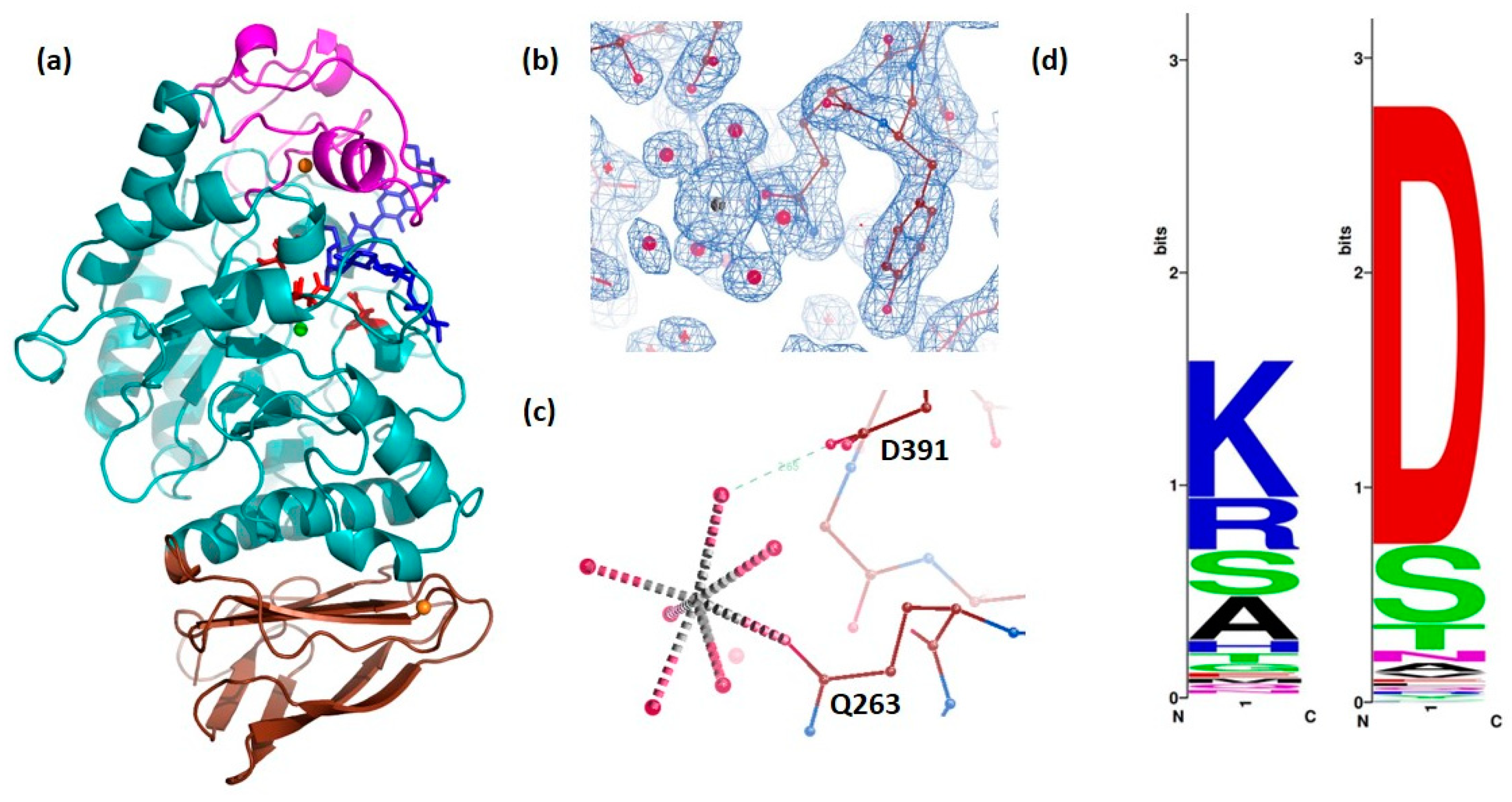 Molecules 28 05327 g002 Molecules 28 05327 g002