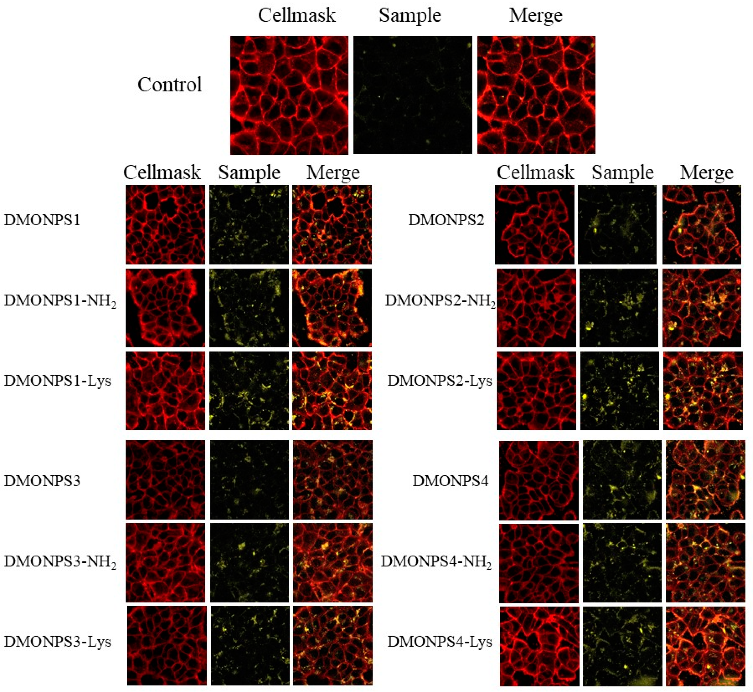 Molecules 28 05335 g006