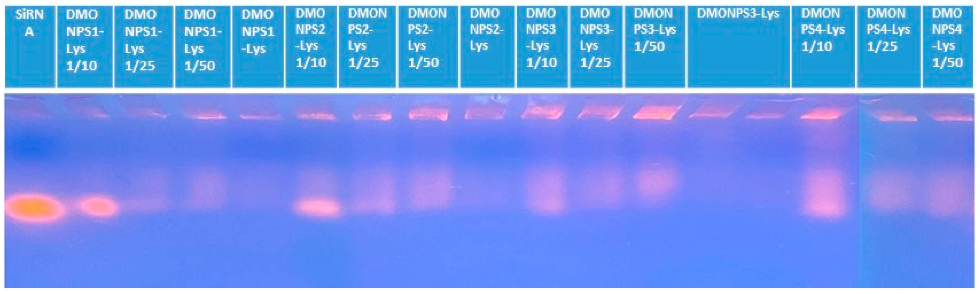 Molecules 28 05335 g008