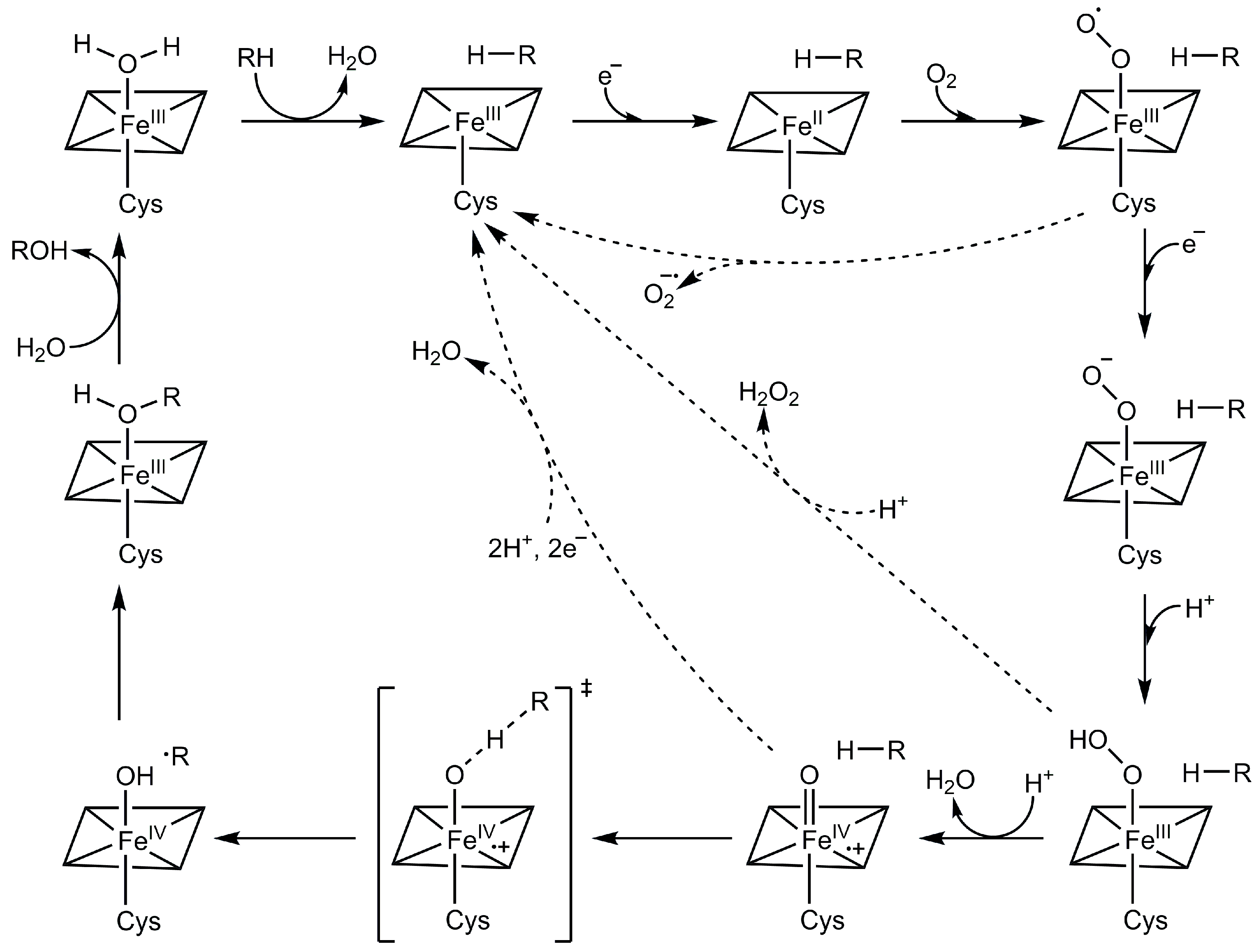 Molecules 28 05353 g001 Molecules 28 05353 g001