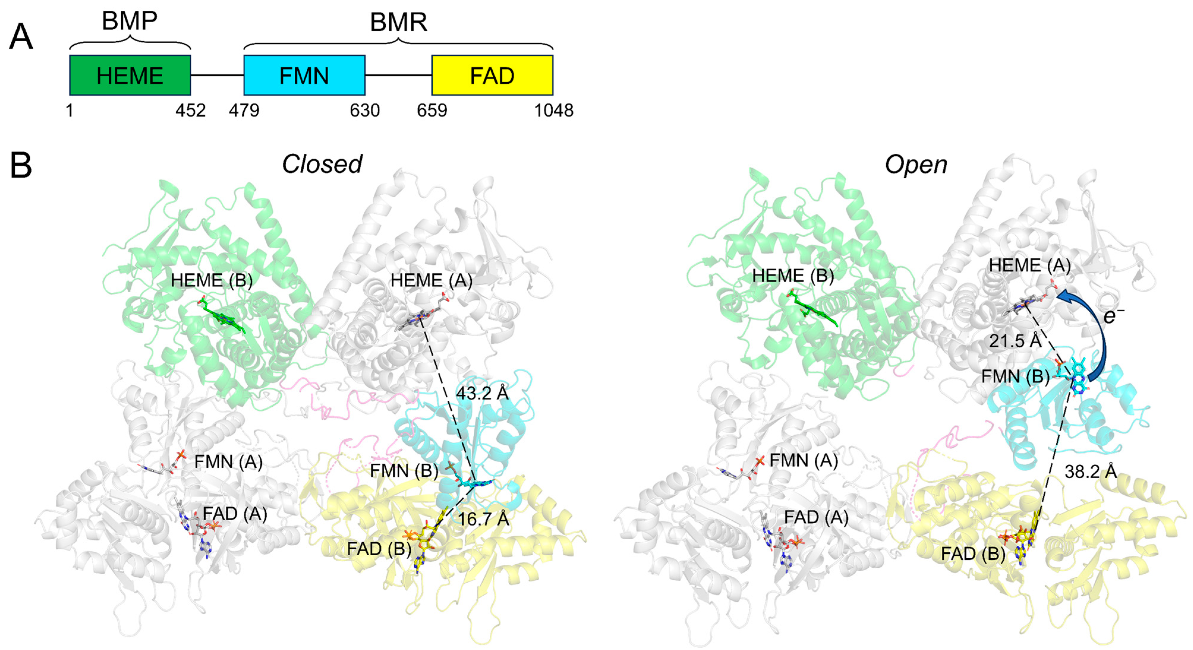 Molecules 28 05353 g002 Molecules 28 05353 g002