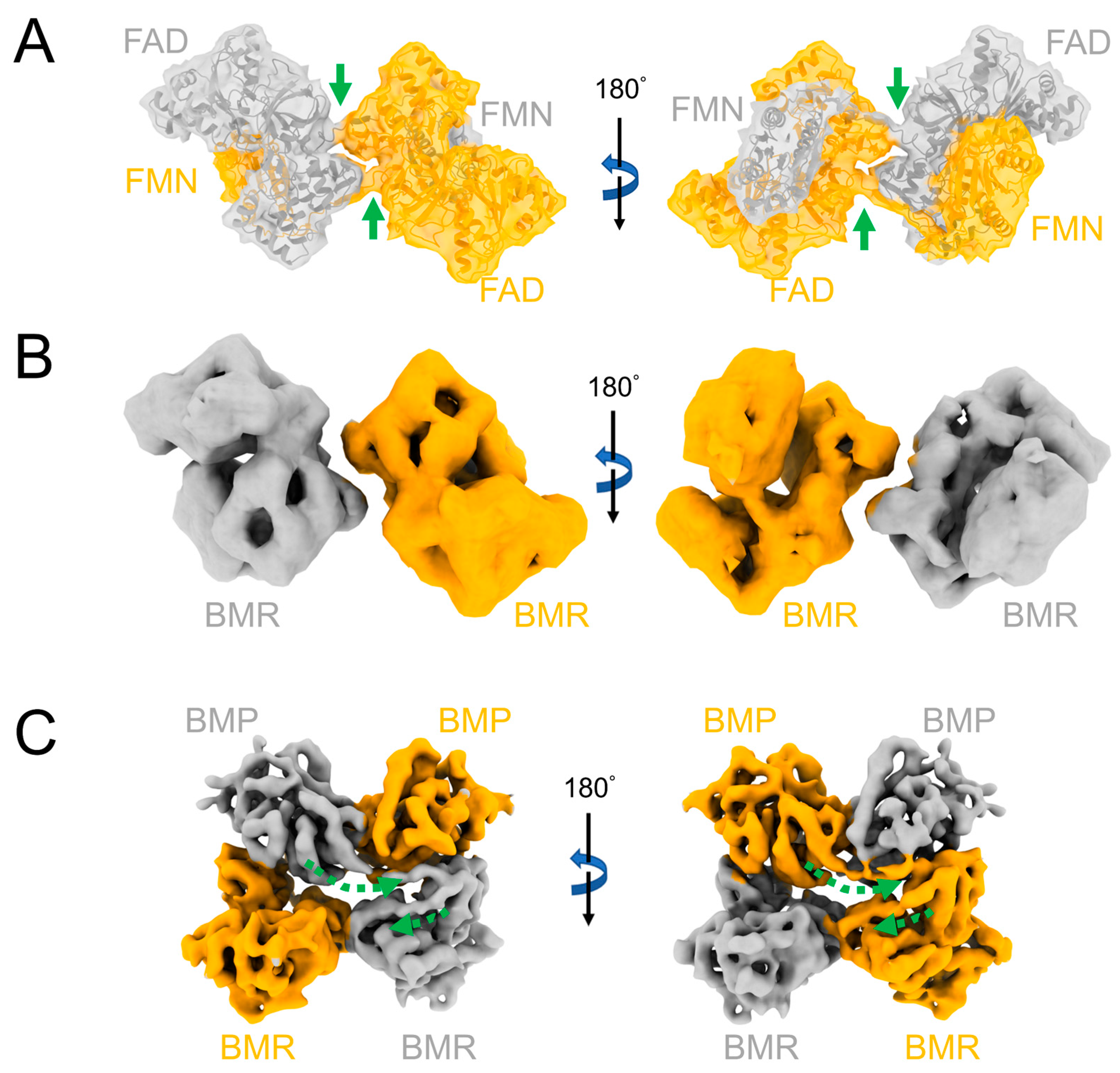 Molecules 28 05353 g003 Molecules 28 05353 g003