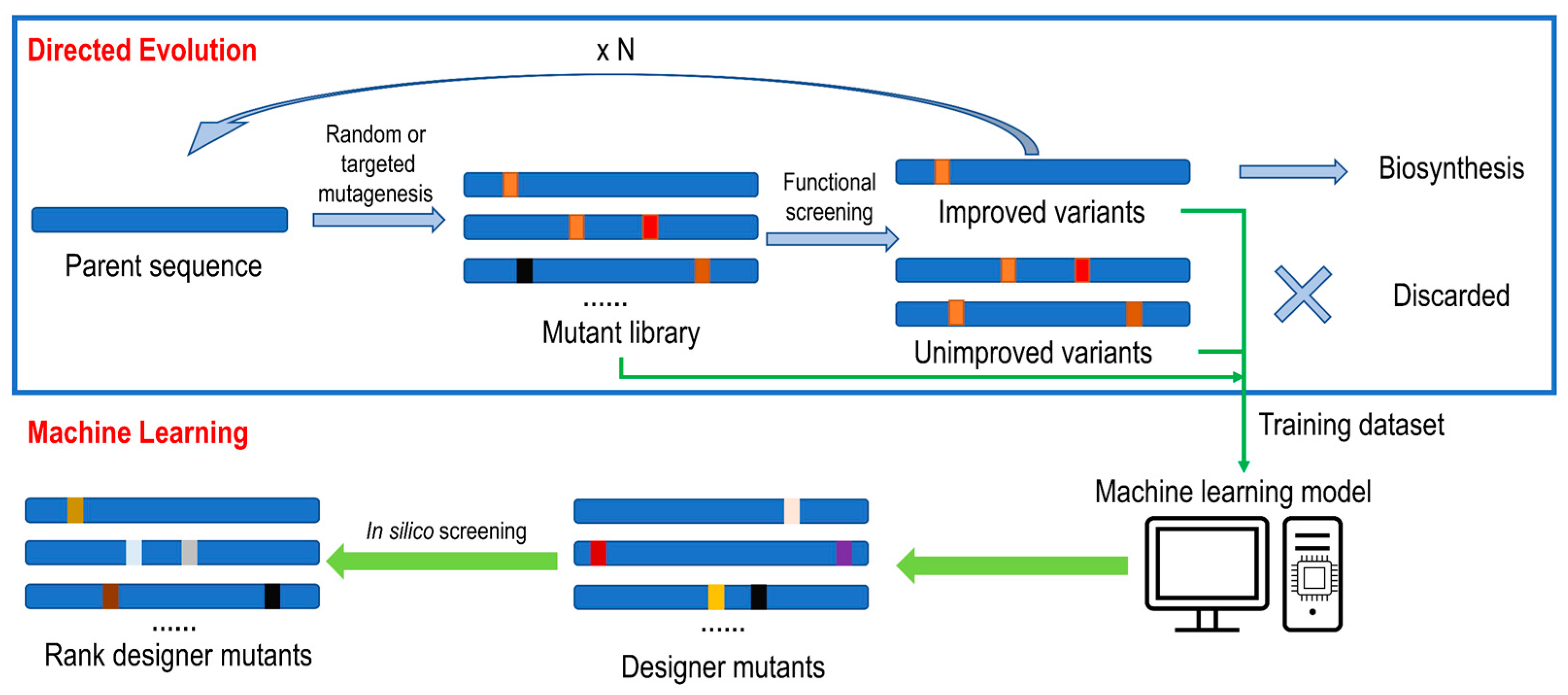 Molecules 28 05353 g005 Molecules 28 05353 g005