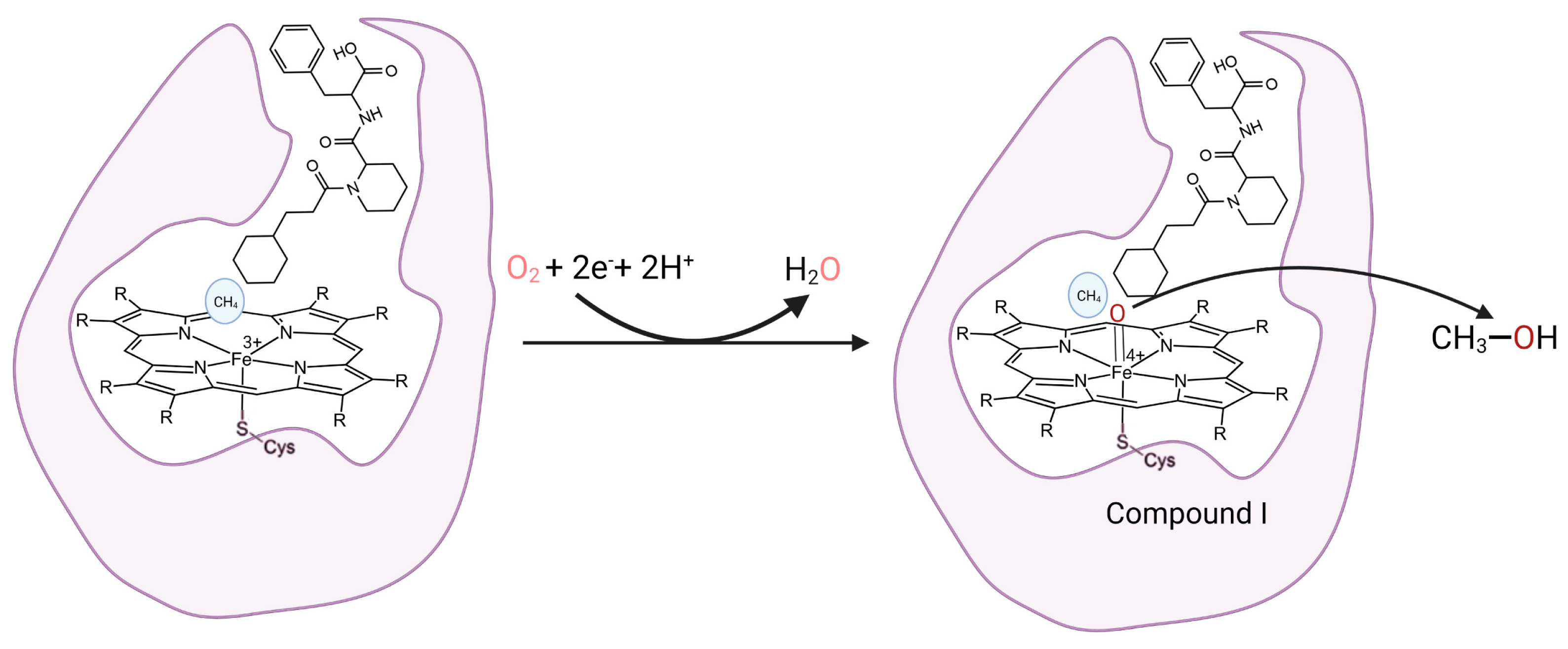 Molecules 28 05353 g006 Molecules 28 05353 g006