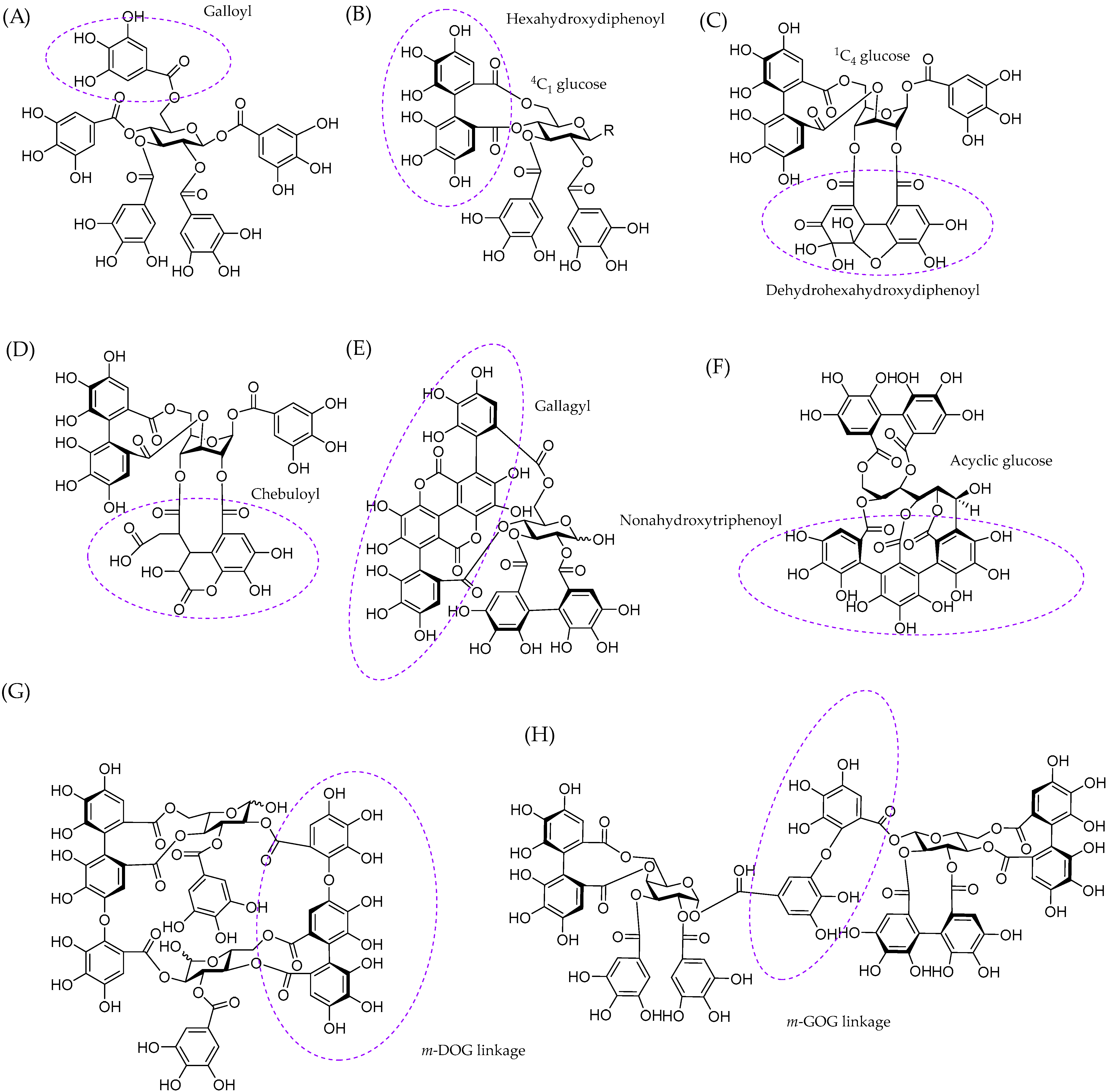 Molecules 28 05370 g001