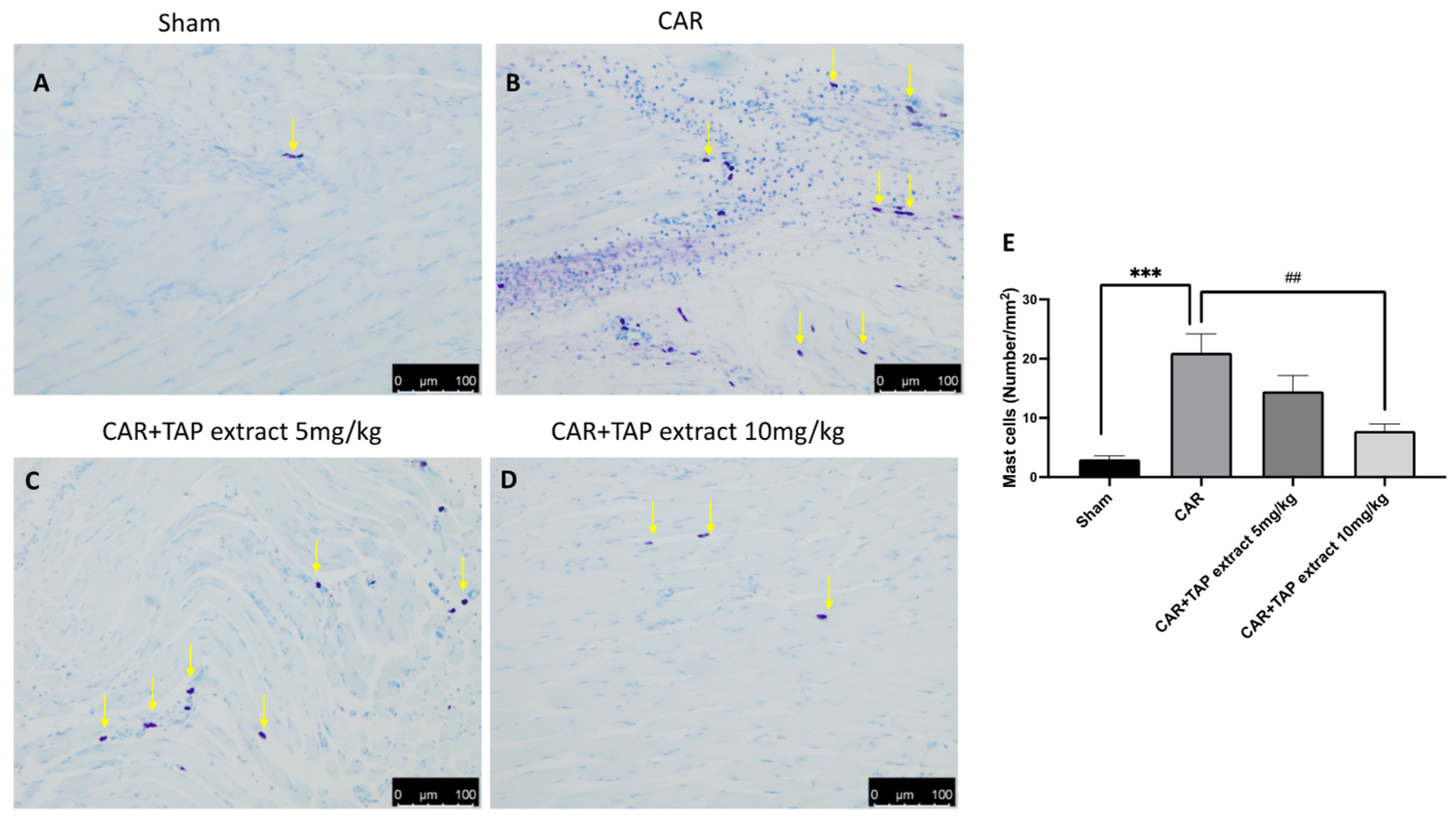 Molecules 28 05376 g003 Molecules 28 05376 g003