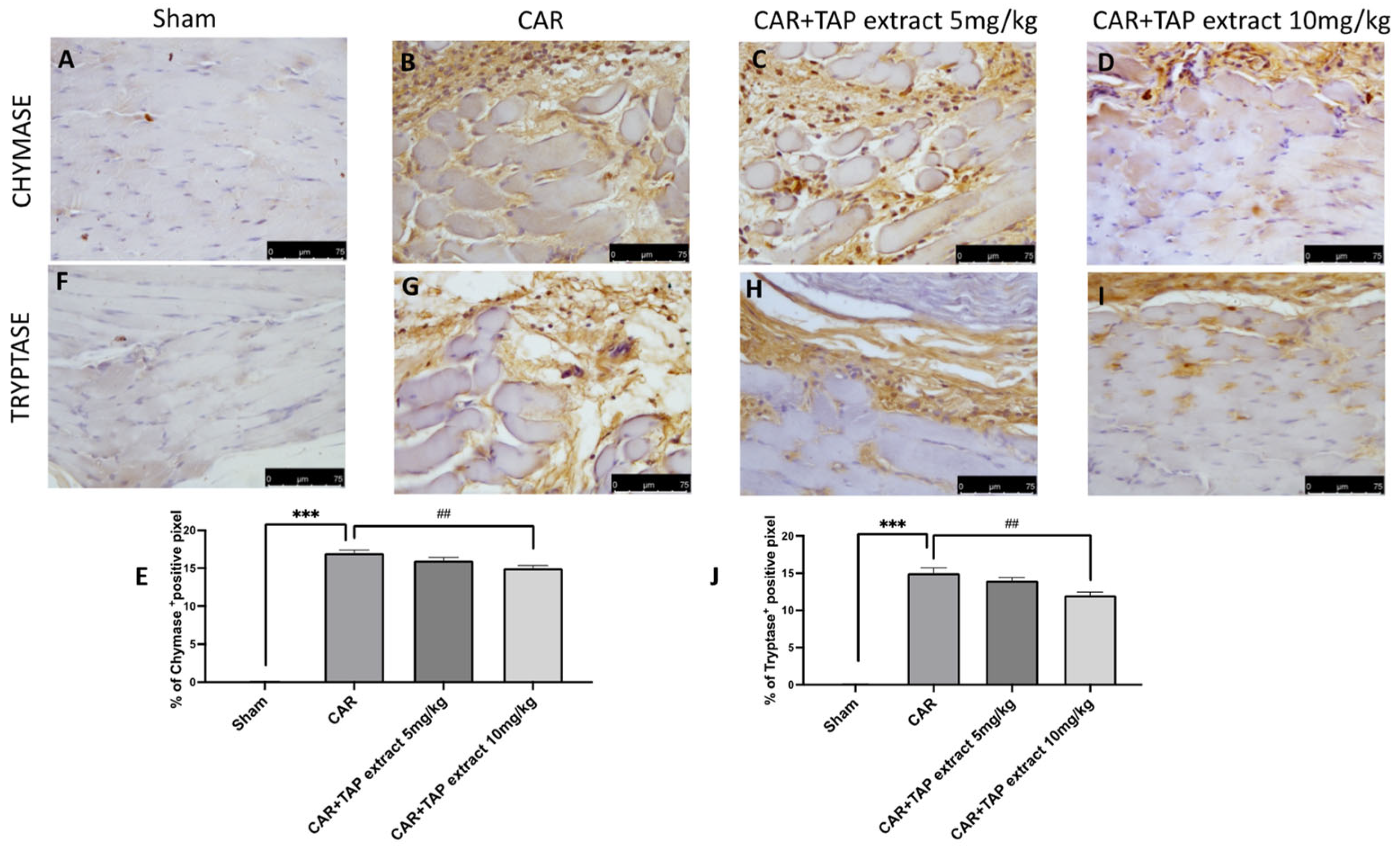 Molecules 28 05376 g004 Molecules 28 05376 g004