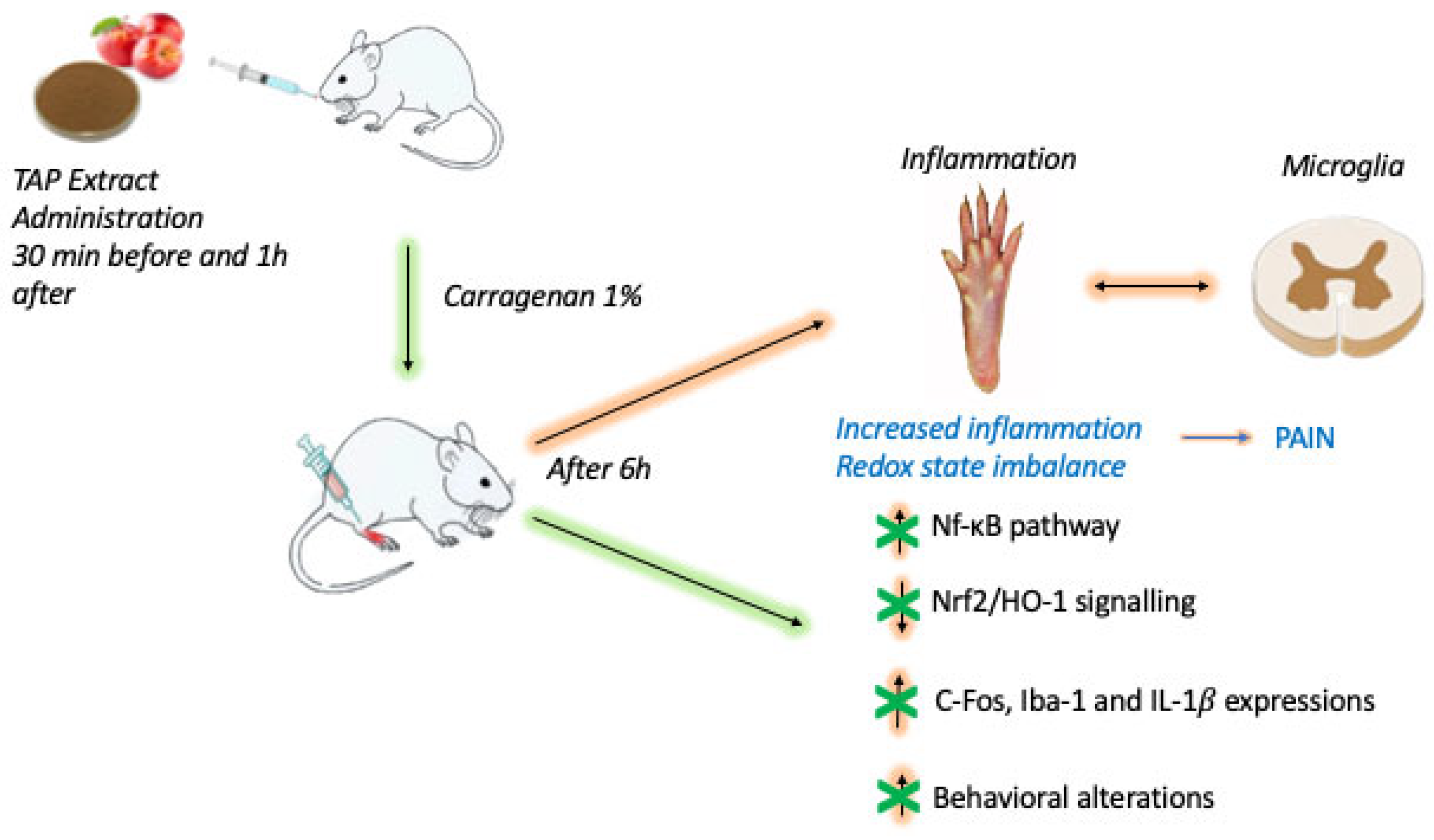 Molecules 28 05376 g007 Molecules 28 05376 g007
