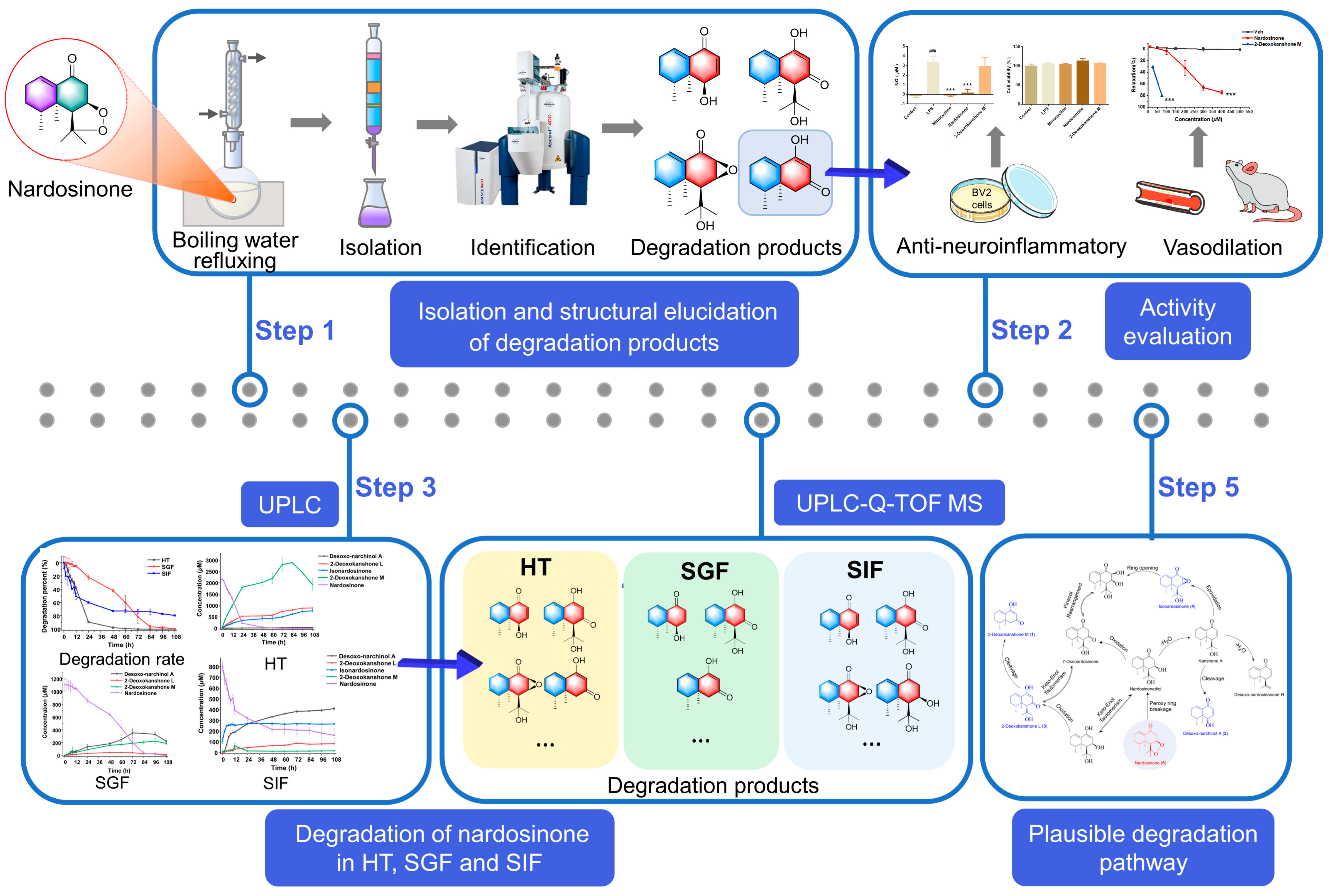 Molecules 28 05382 g001 Molecules 28 05382 g001