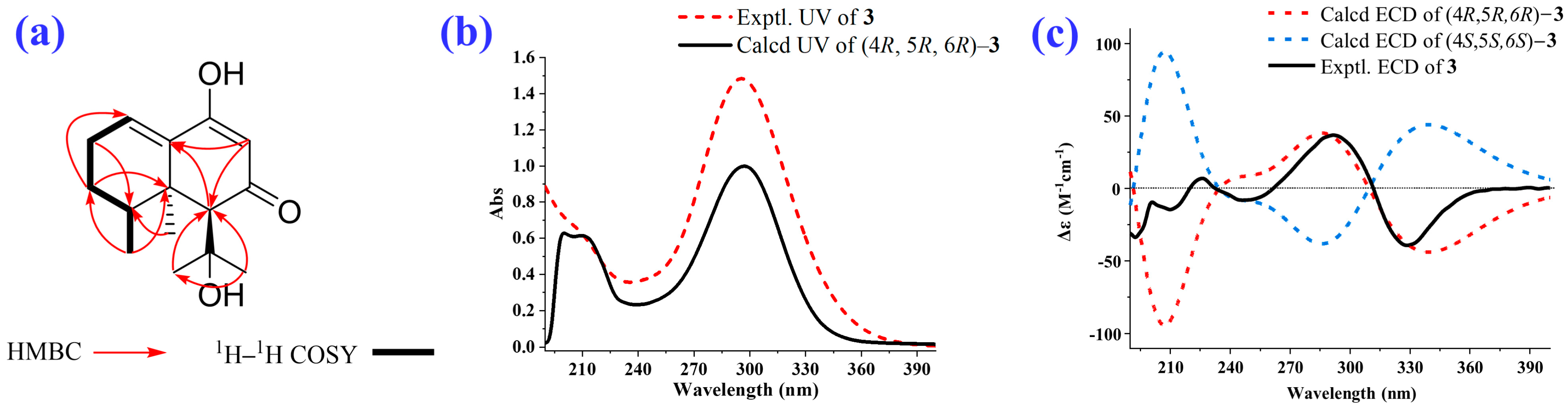 Molecules 28 05382 g006 Molecules 28 05382 g006