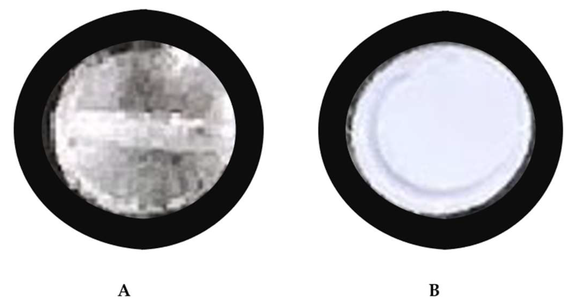 Molecules 28 05385 g006 Molecules 28 05385 g006