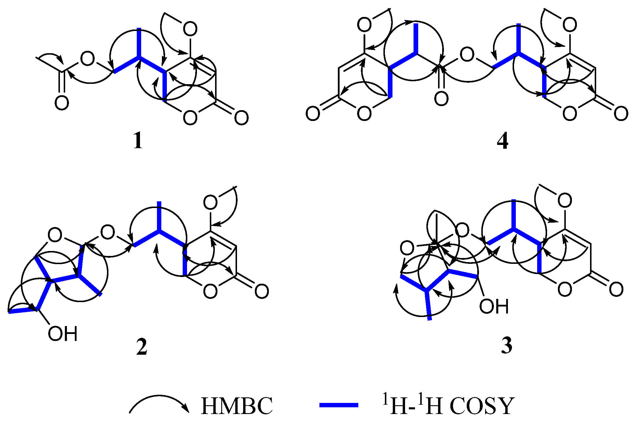 Molecules 28 05388 g002