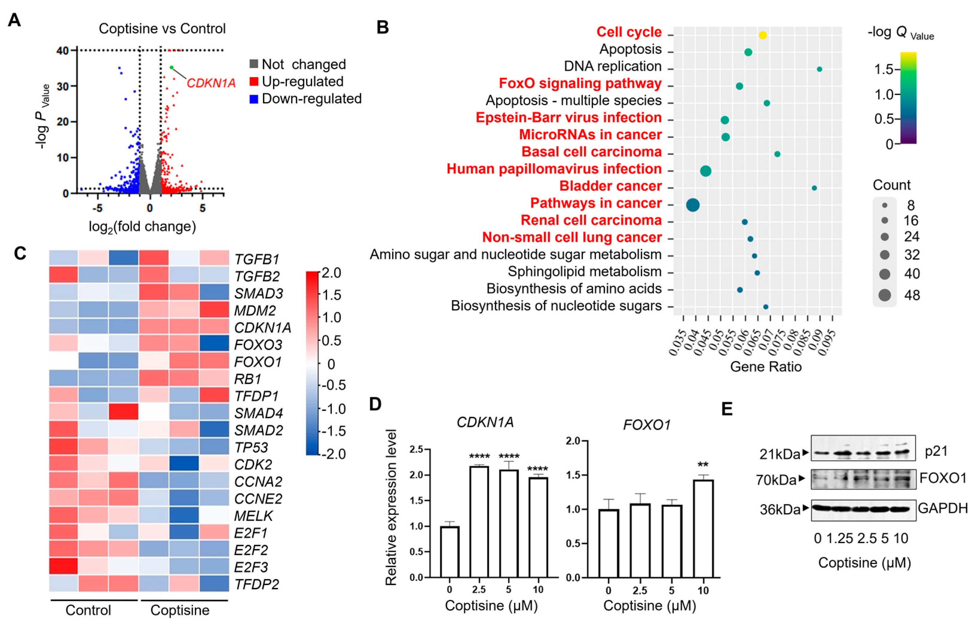 Molecules 28 05398 g003 Molecules 28 05398 g003