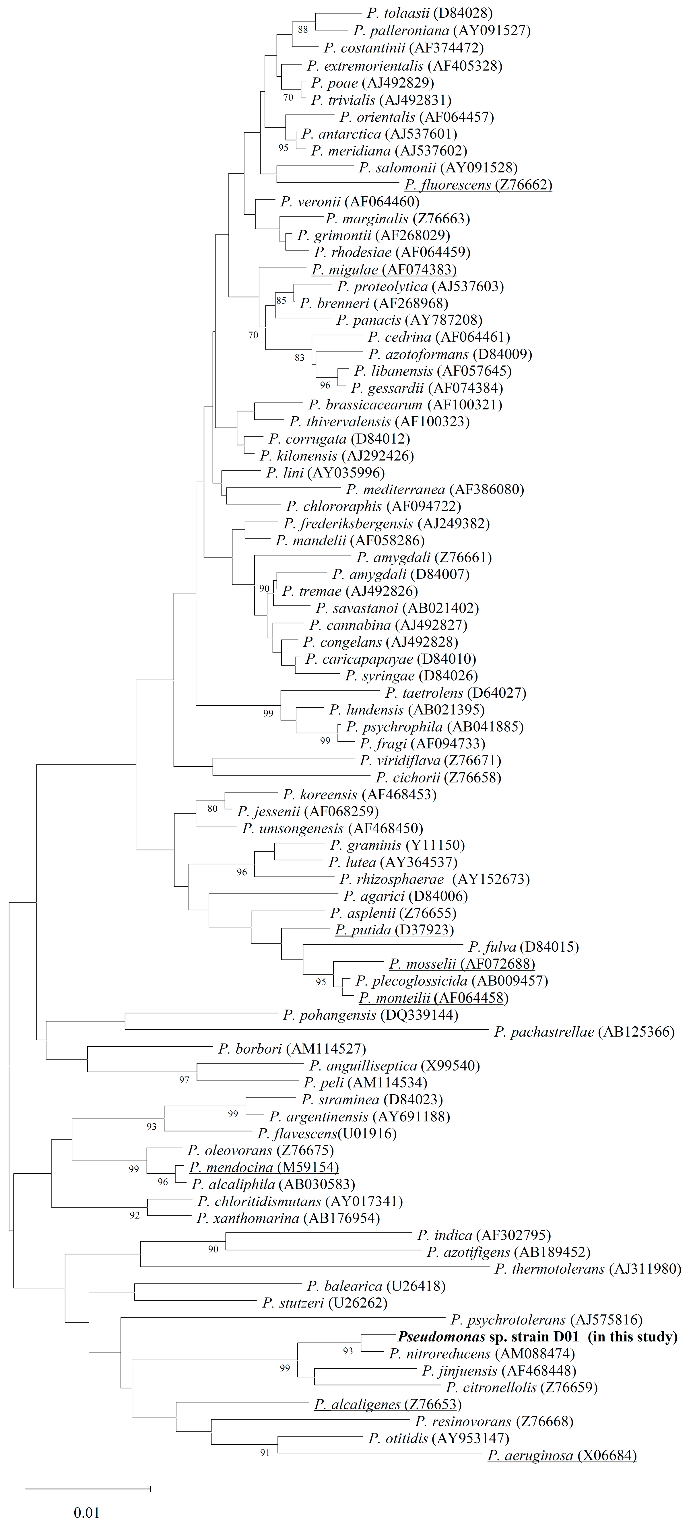 Molecules 28 05410 g001