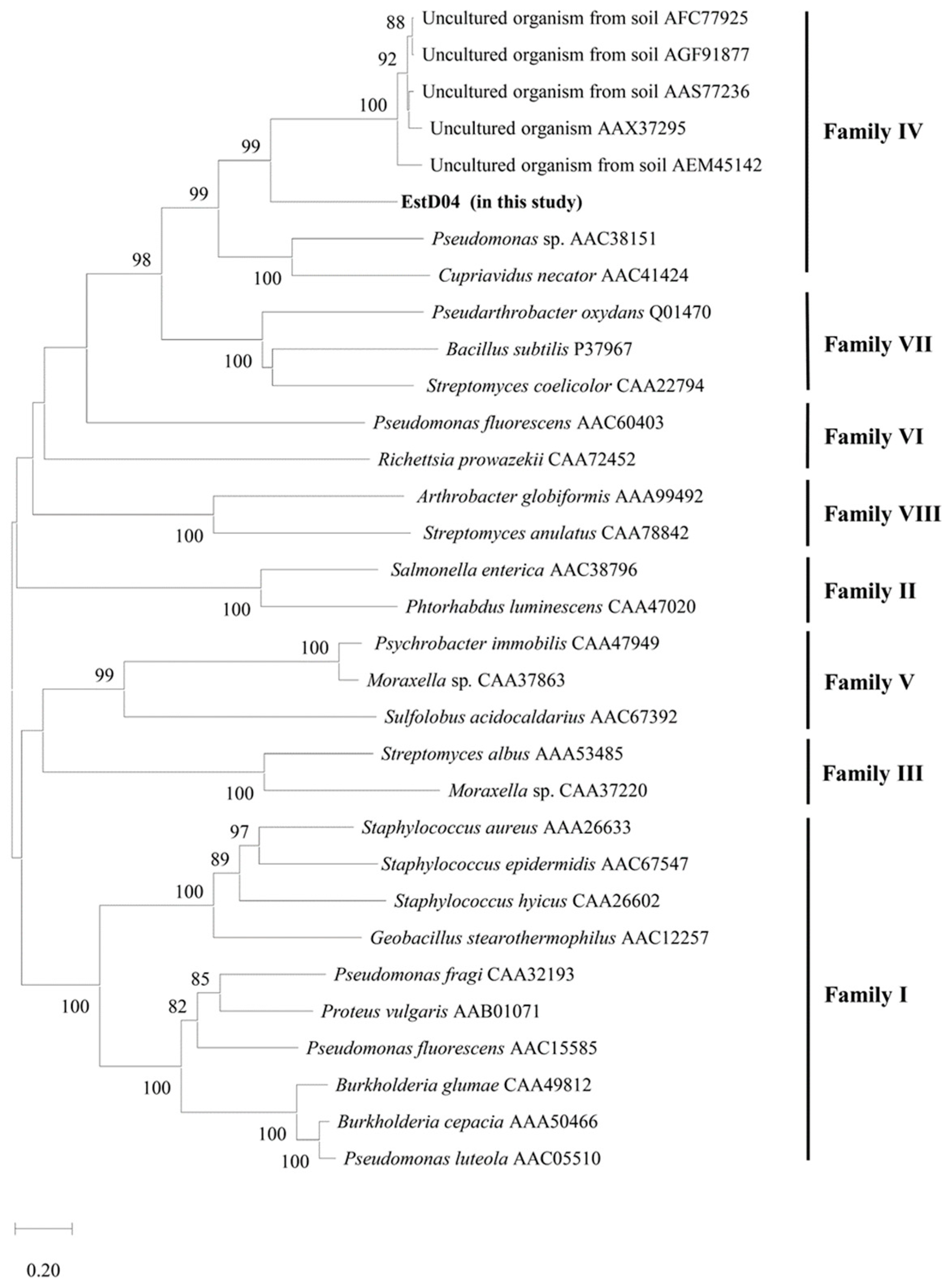 Molecules 28 05410 g003
