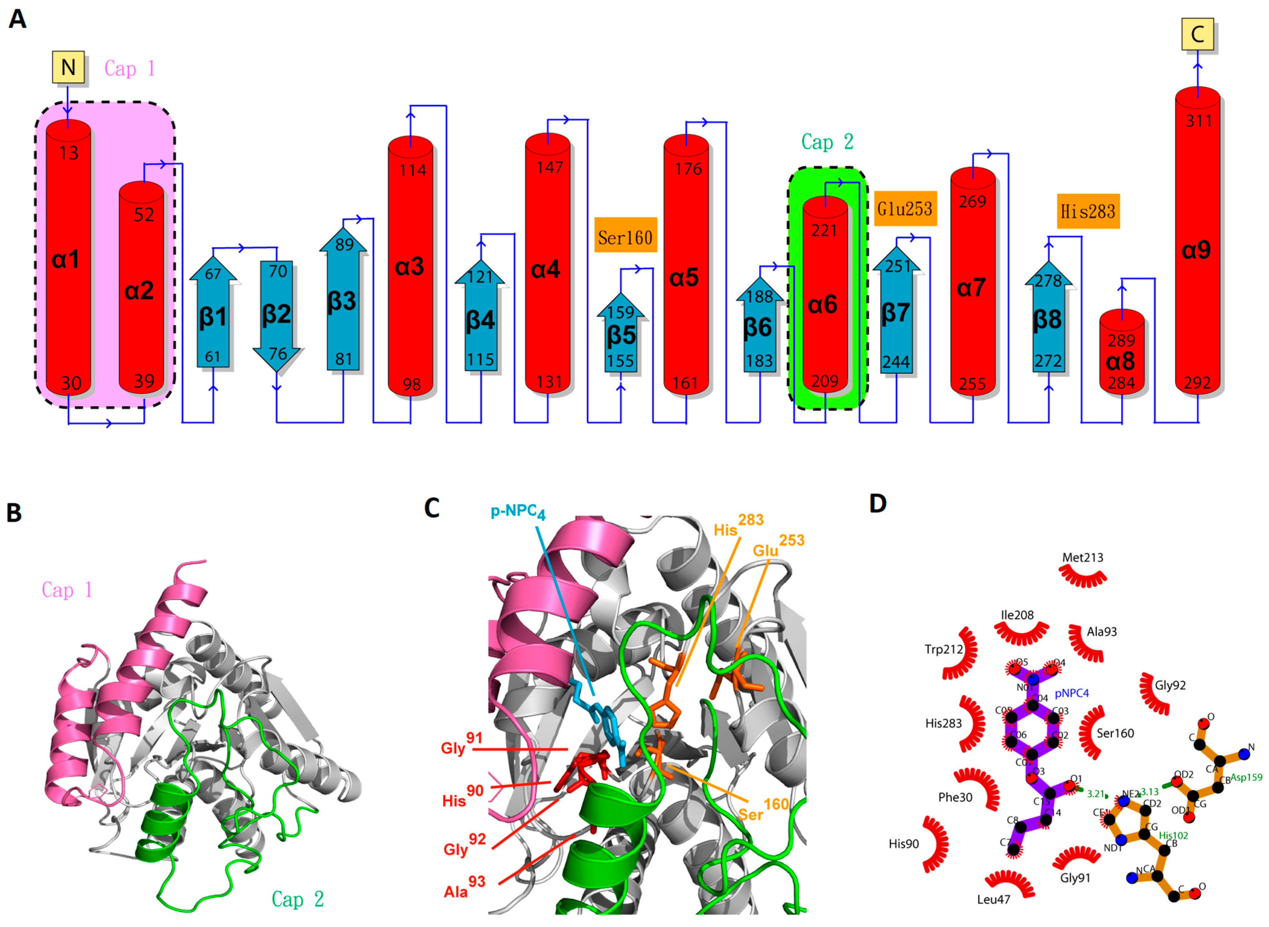 Molecules 28 05410 g008