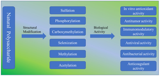 Frontiers  Green approaches for extraction, chemical modification and  processing of marine polysaccharides for biomedical applications