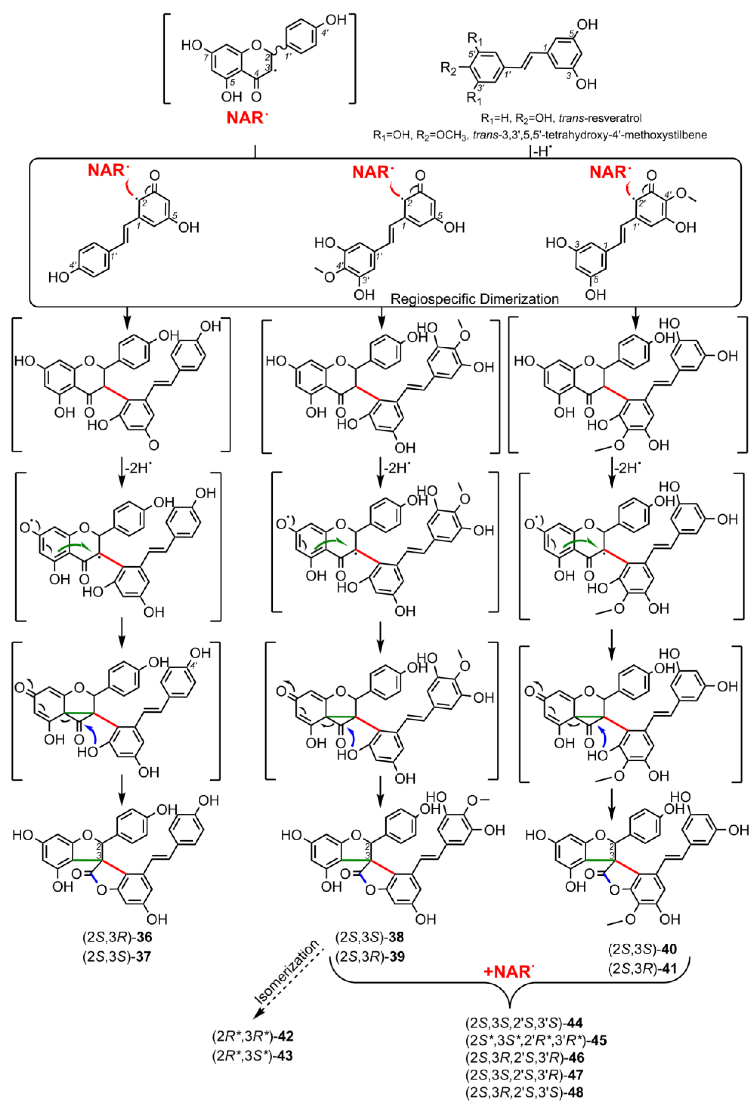 Molecules 28 05420 sch004 Molecules 28 05420 sch004
