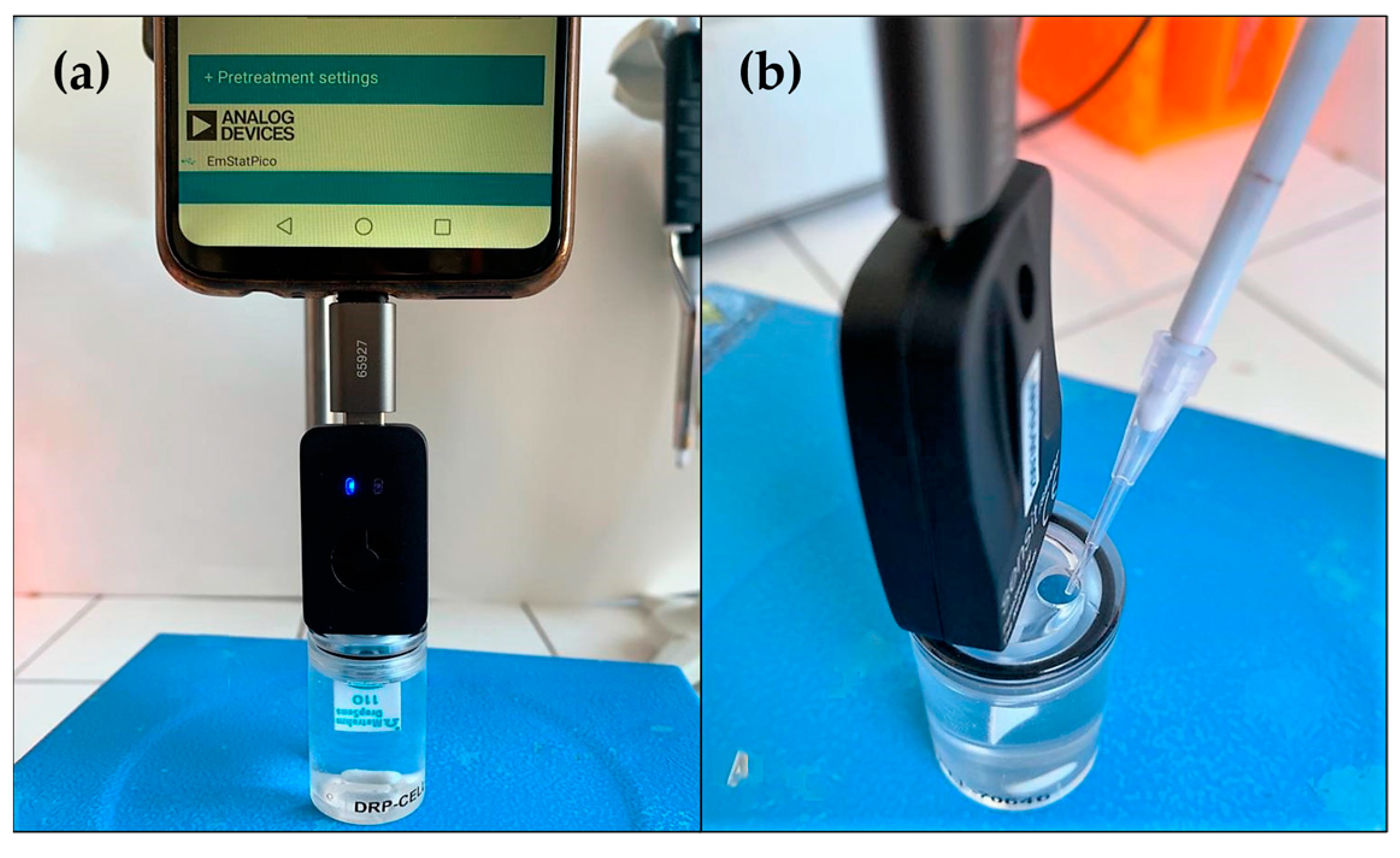 Molecules 28 05425 g006