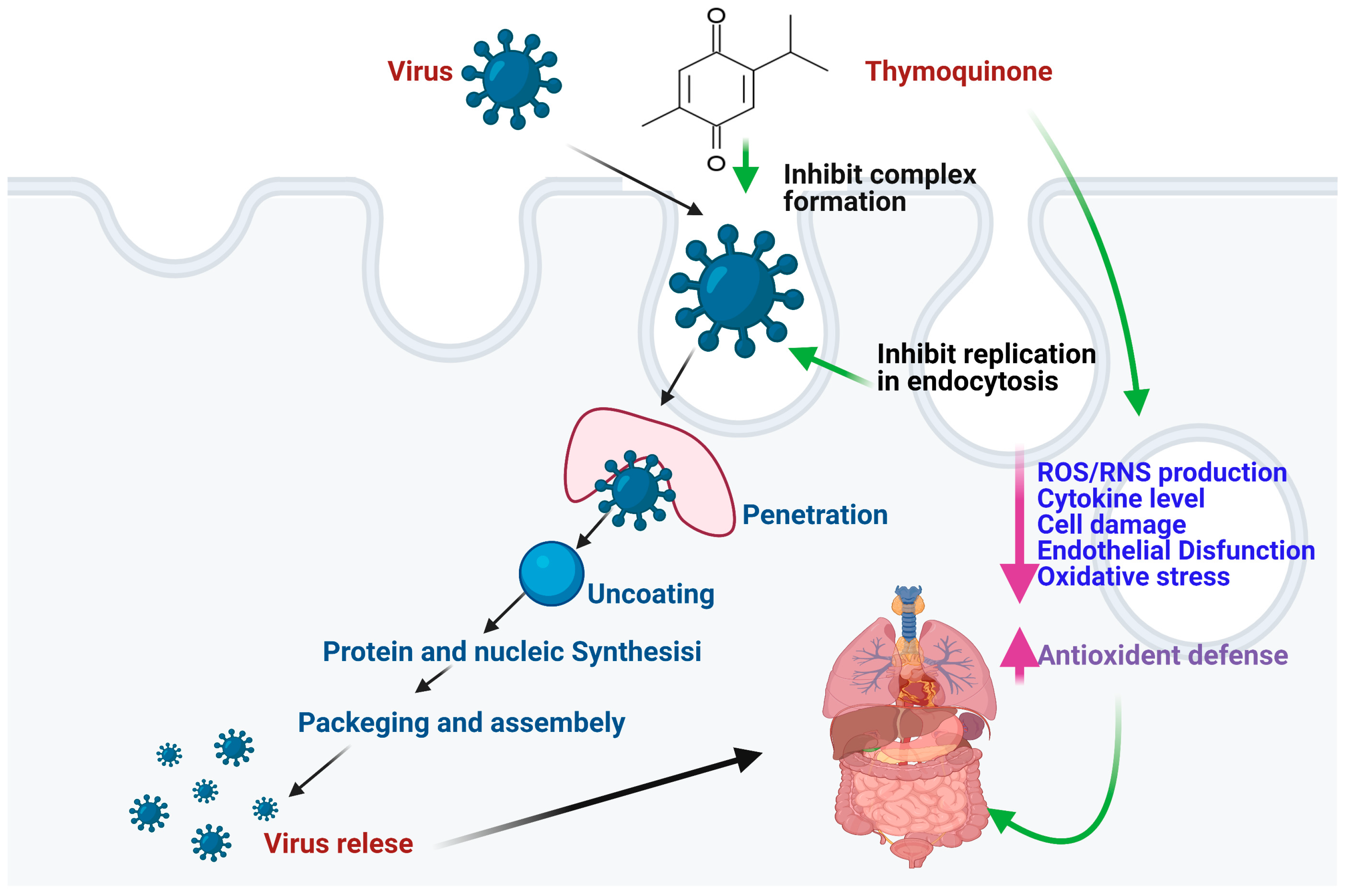 Molecules 28 05435 g001 Molecules 28 05435 g001