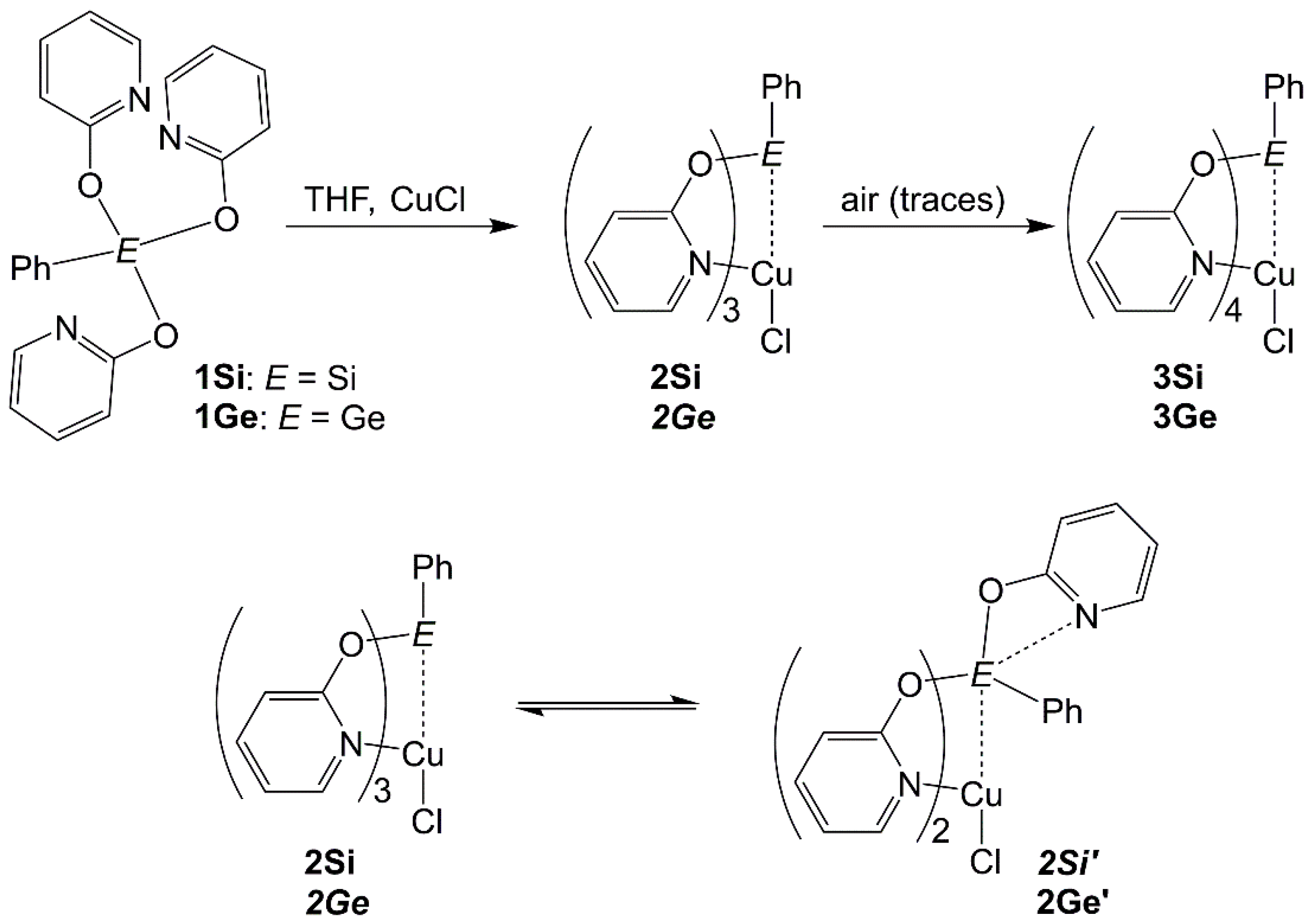 Molecules 28 05442 sch001 Molecules 28 05442 sch001