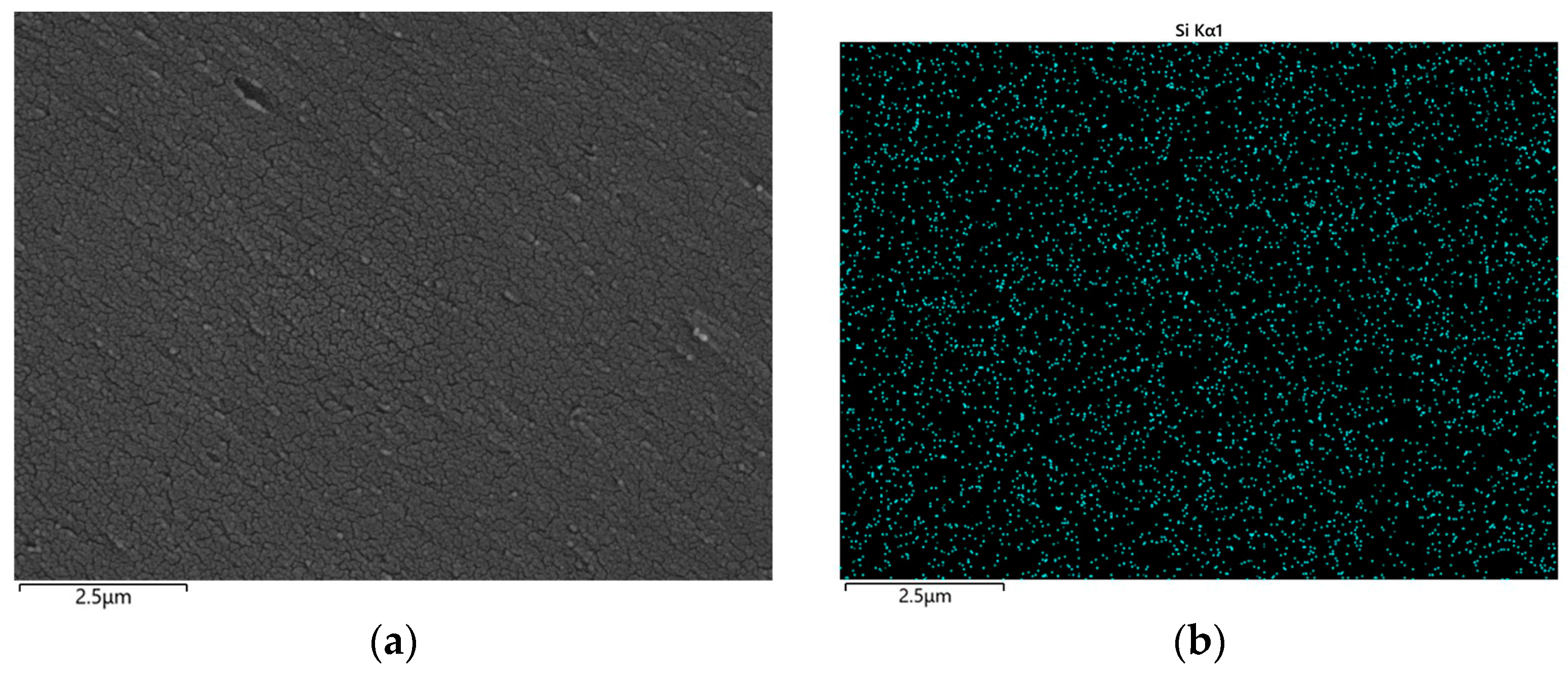 Molecules 28 05450 g008a