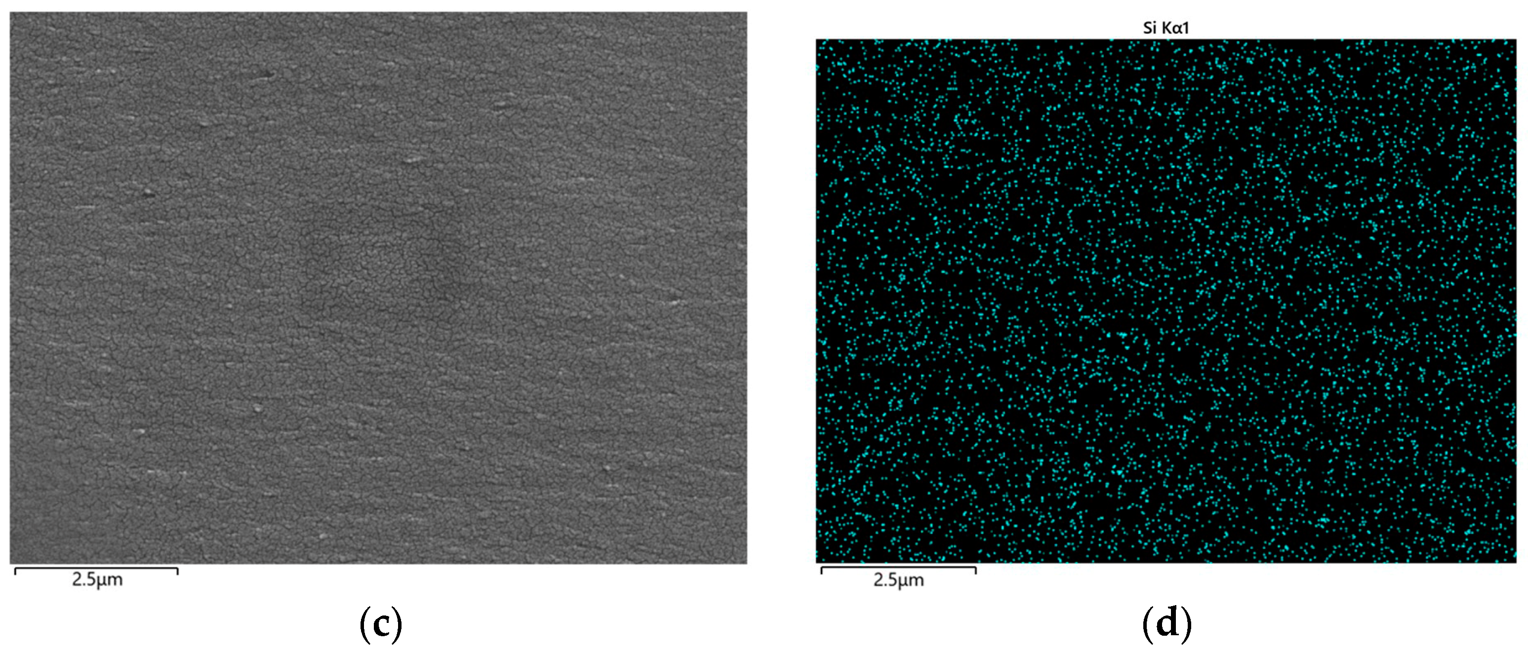 Molecules 28 05450 g008b