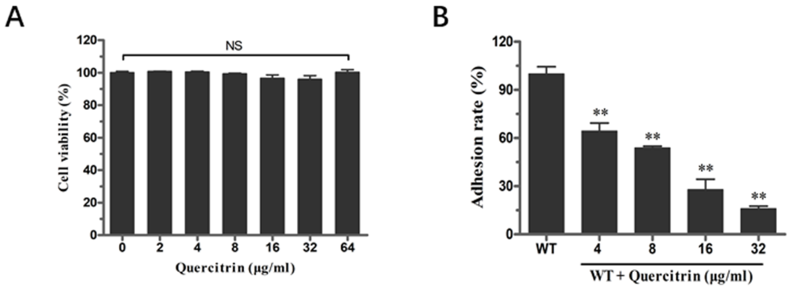 Molecules 28 05455 g003 Molecules 28 05455 g003