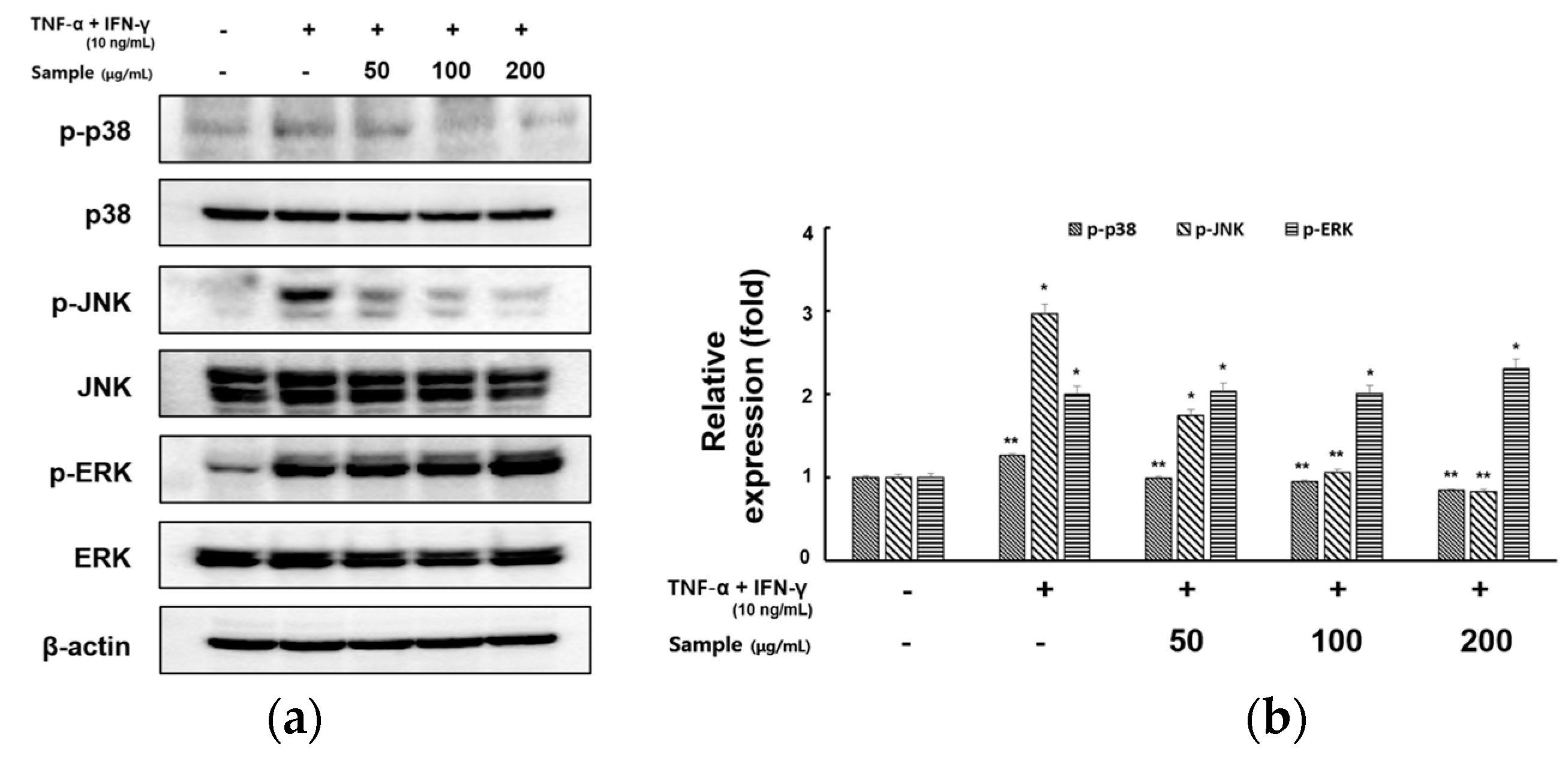 Molecules 28 05463 g005