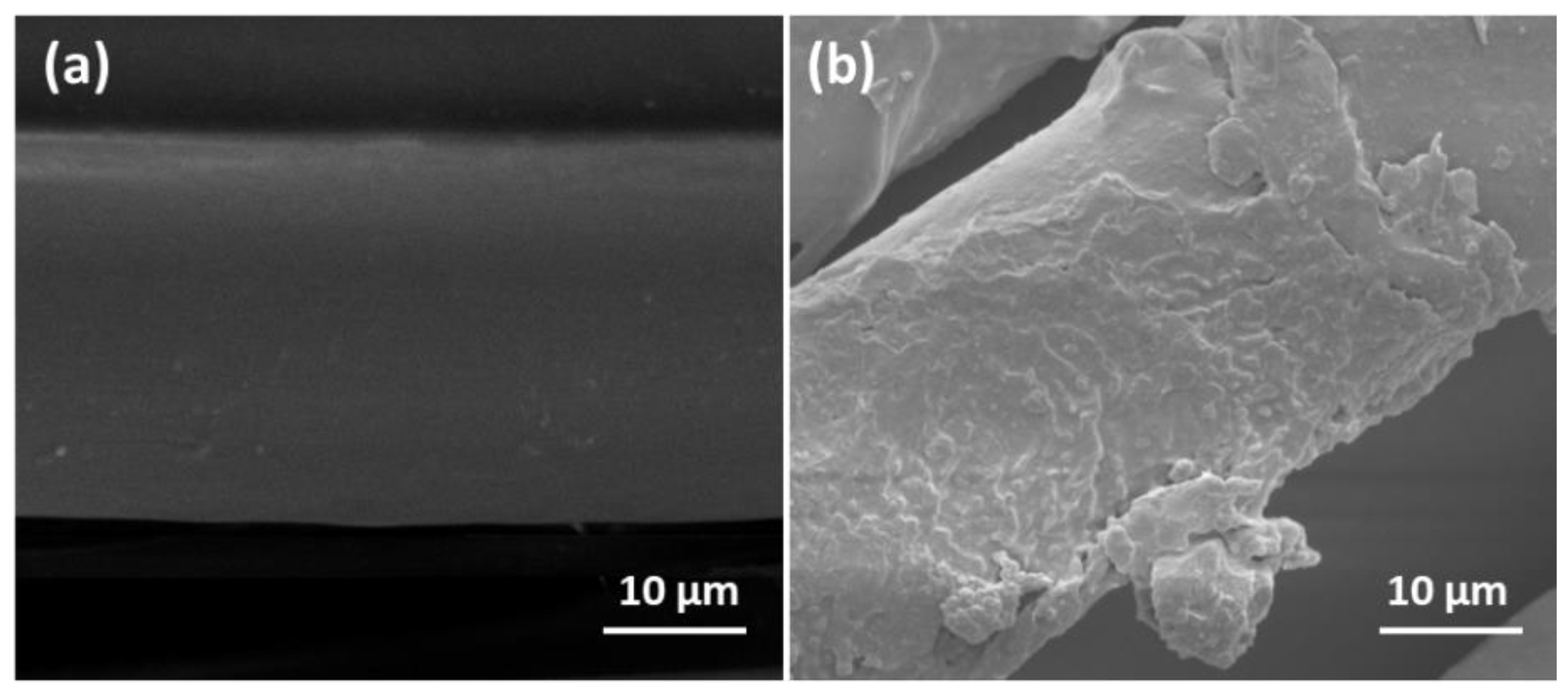 Molecules 28 05465 g007 Molecules 28 05465 g007