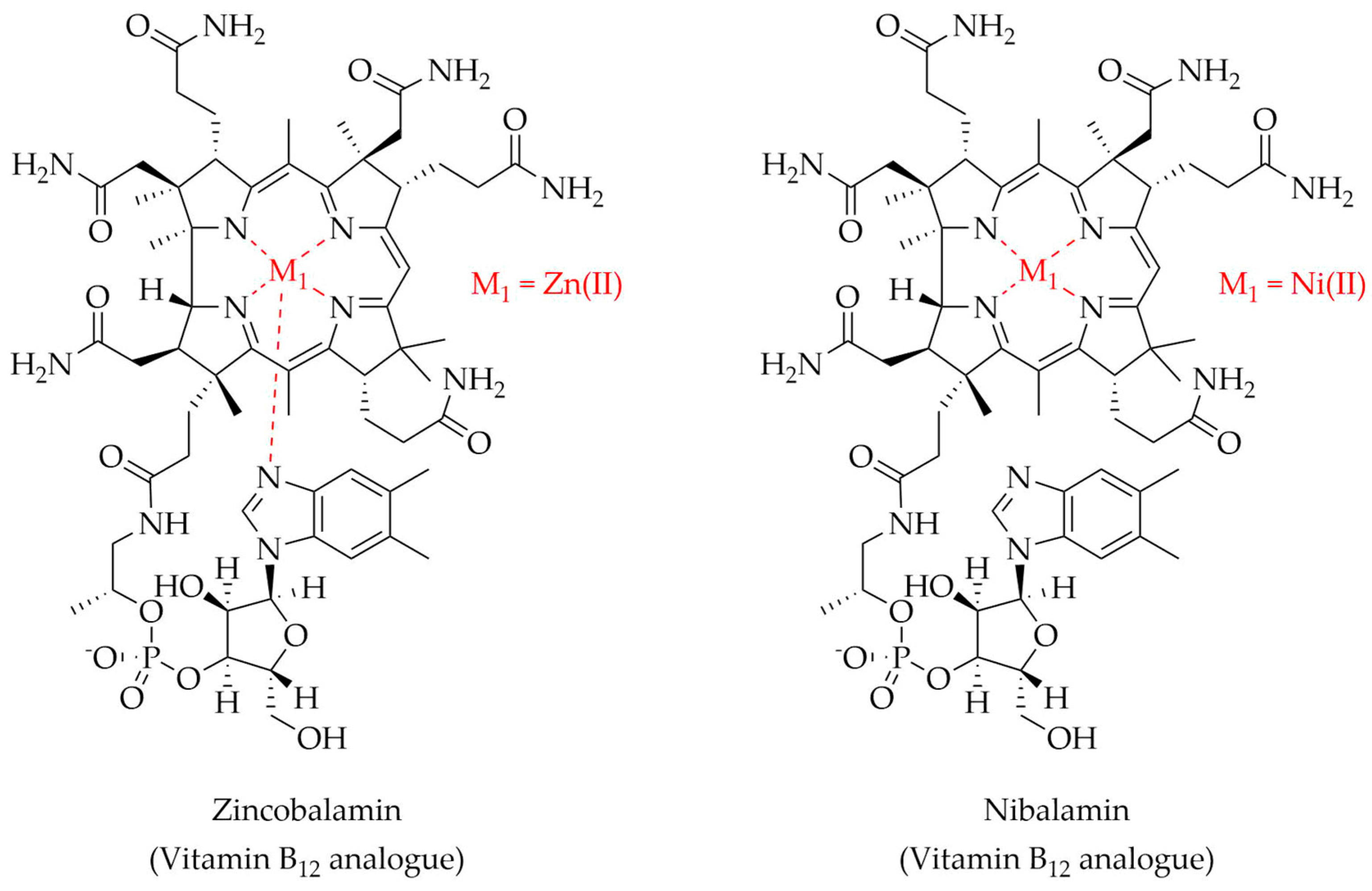 Molecules 28 05467 g005