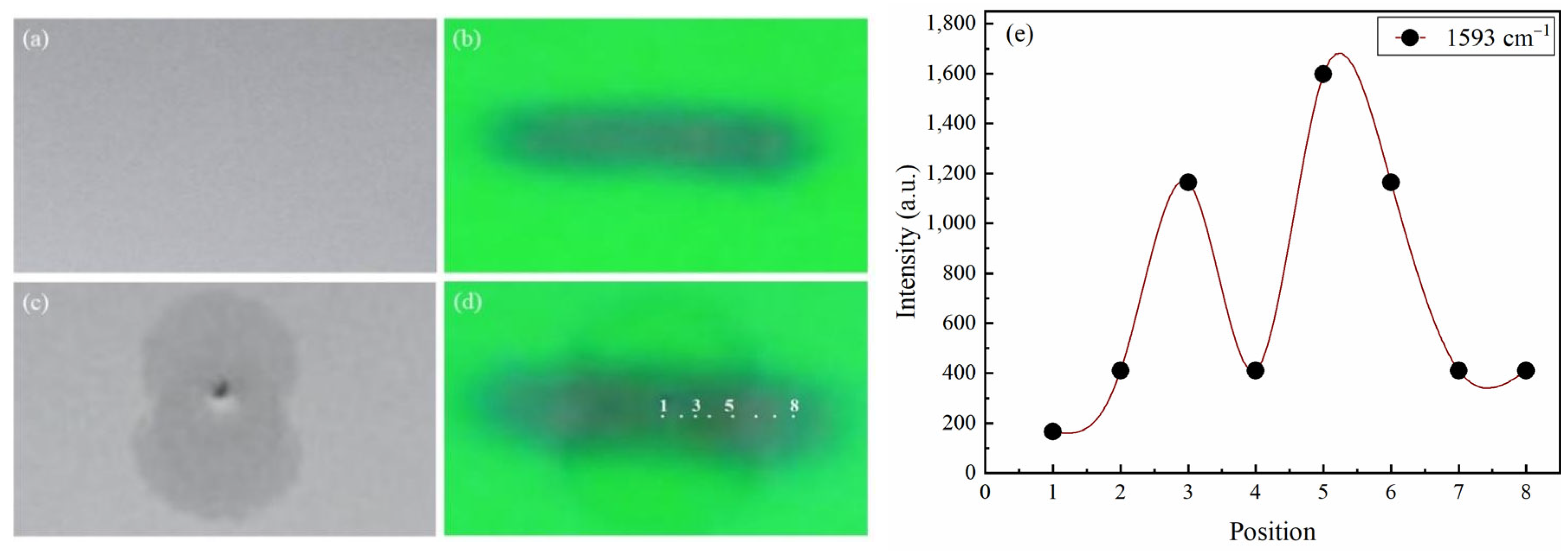 Molecules 28 05492 g004