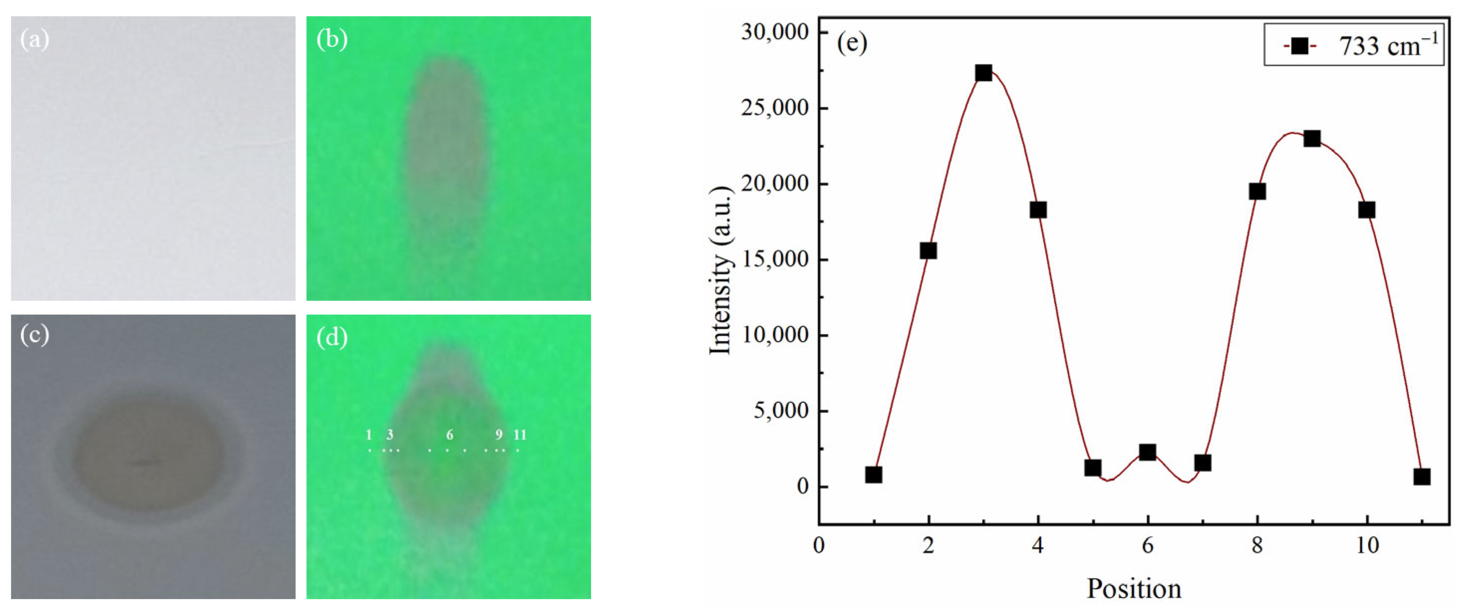 Molecules 28 05492 g006