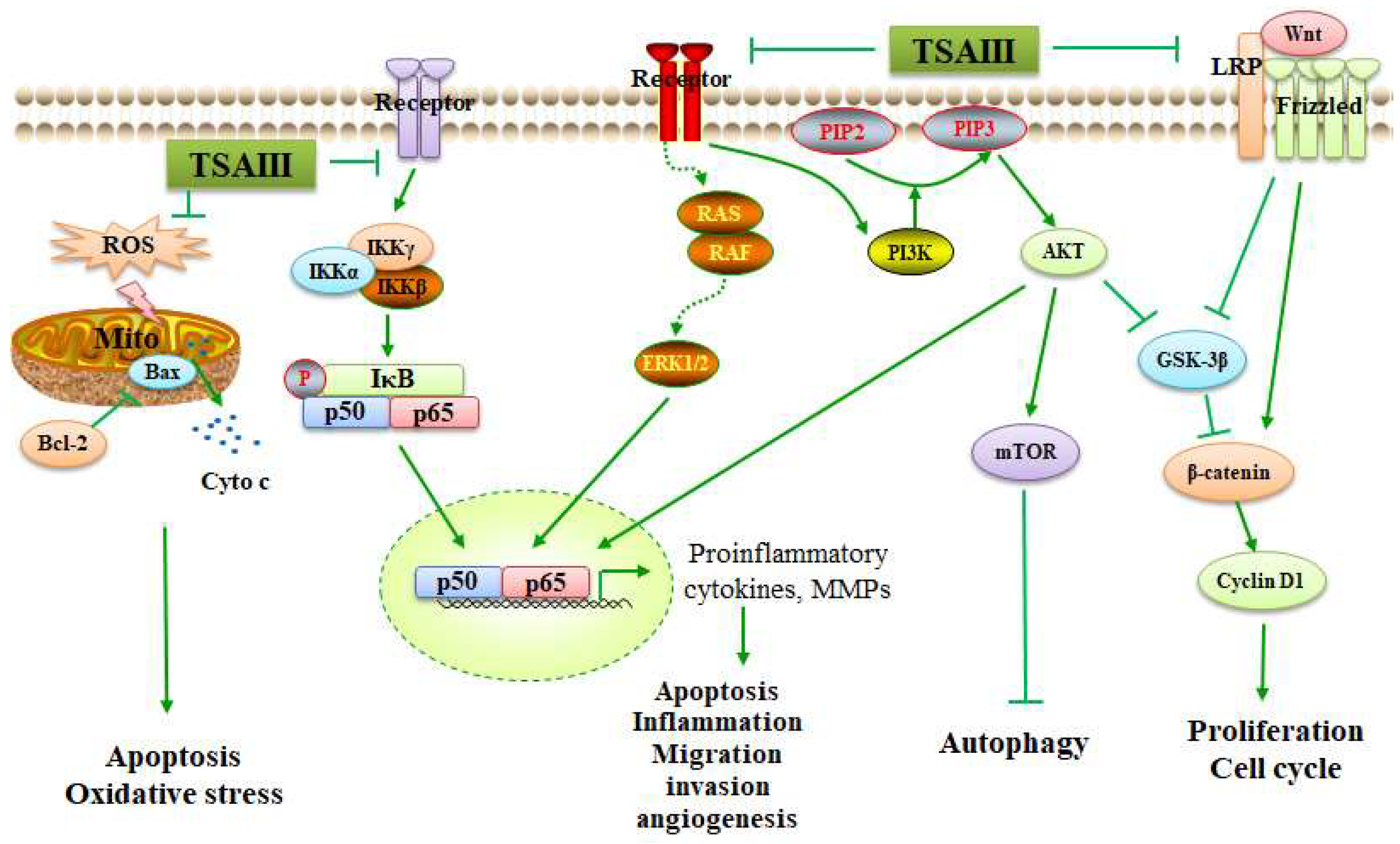 Molecules 28 05500 g004