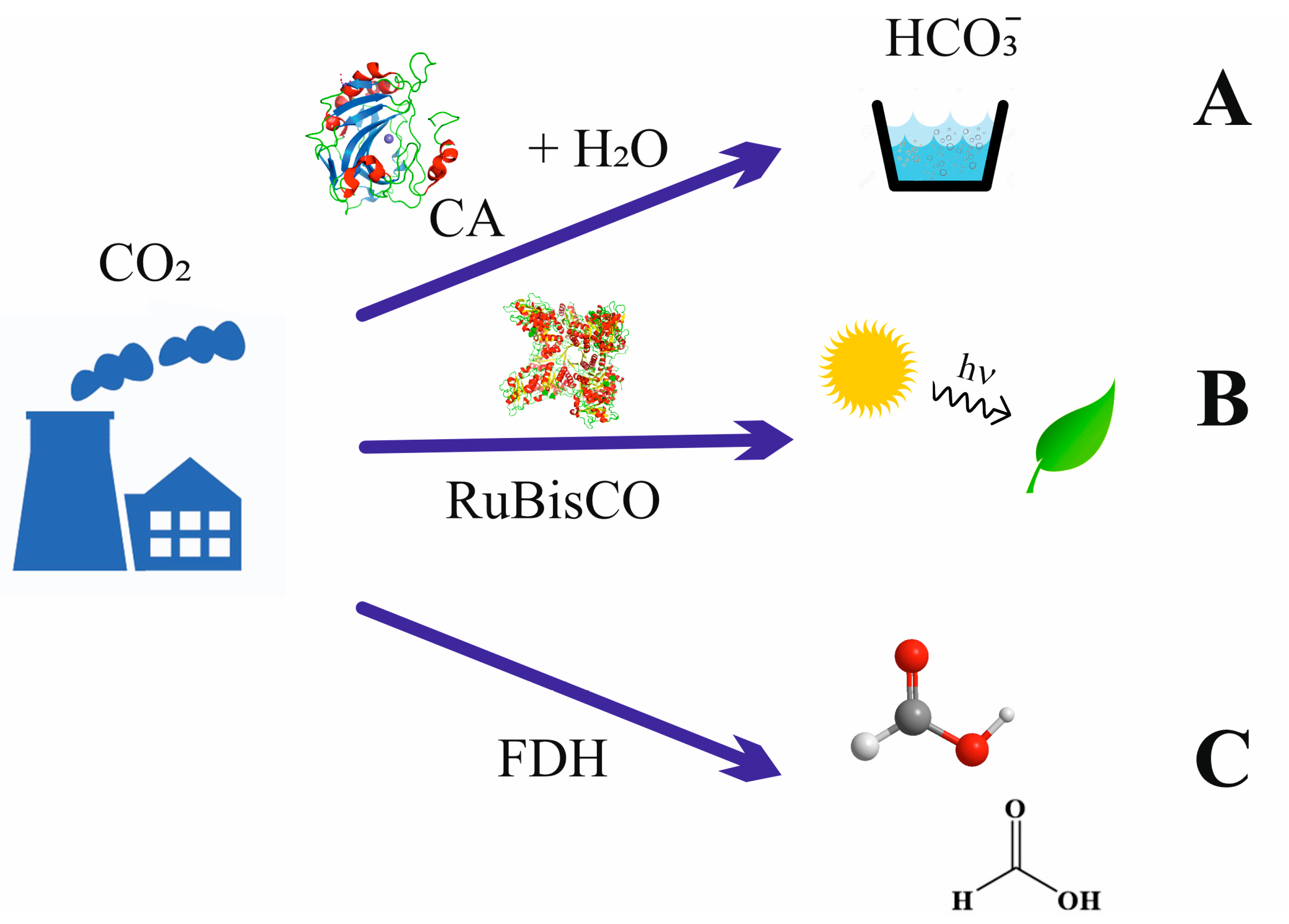 Molecules 28 05520 g001 Molecules 28 05520 g001