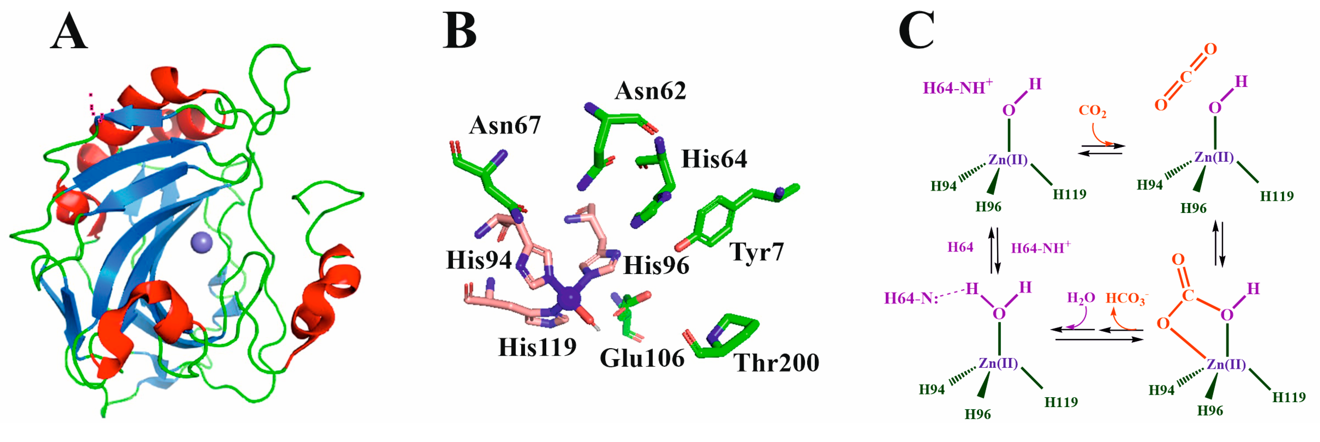 Molecules 28 05520 g004 Molecules 28 05520 g004