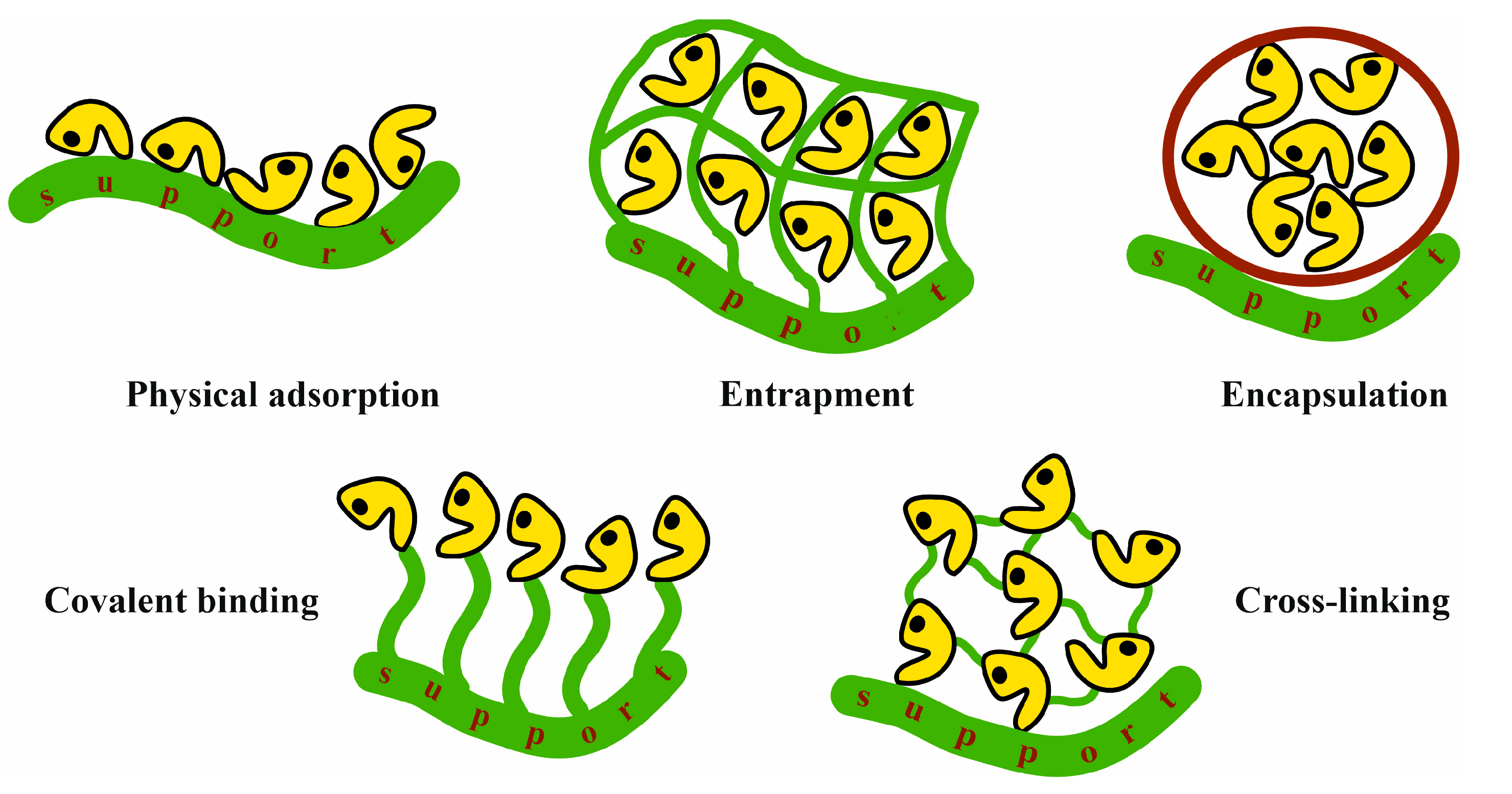 Molecules 28 05520 g007 Molecules 28 05520 g007