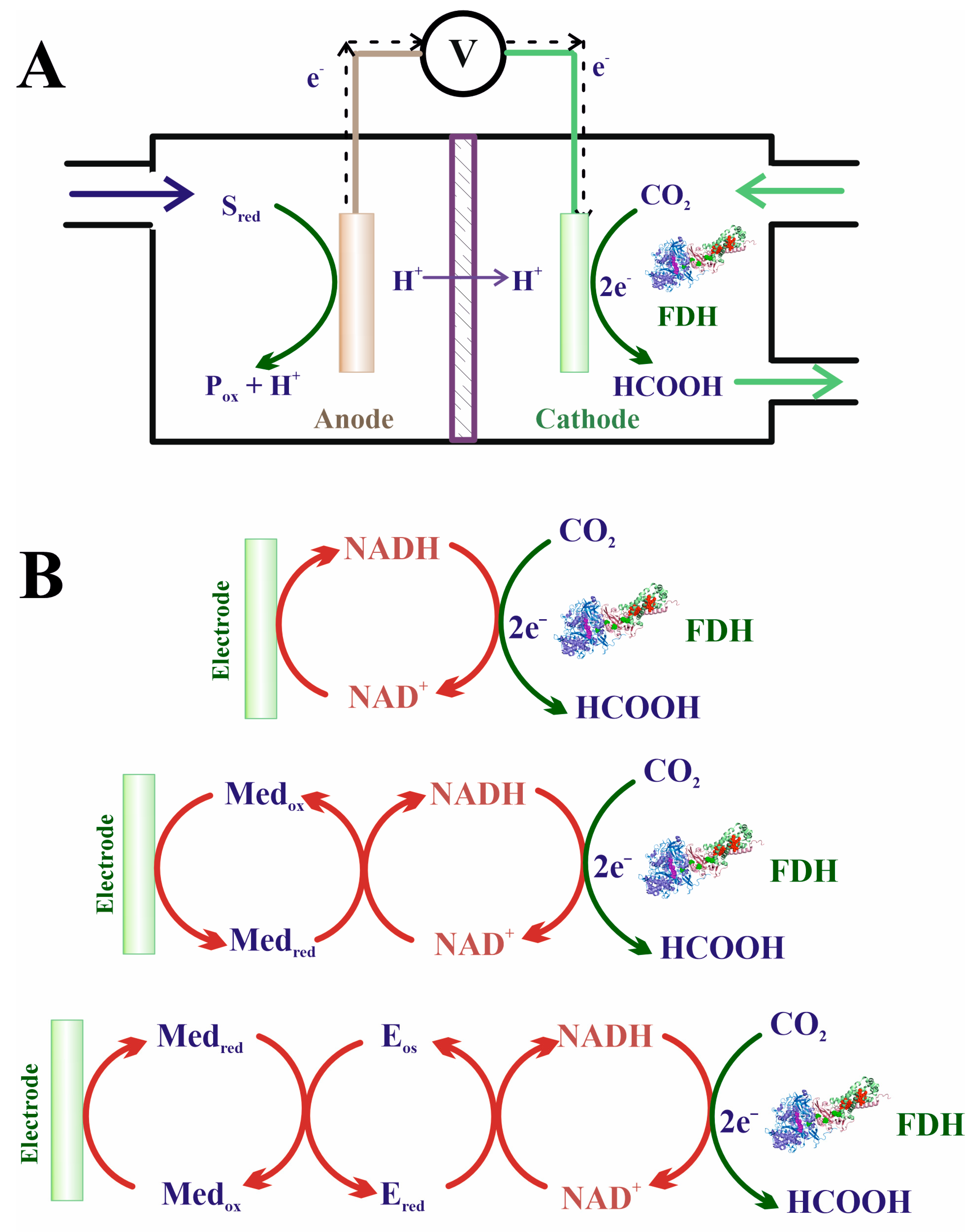Molecules 28 05520 g010 Molecules 28 05520 g010