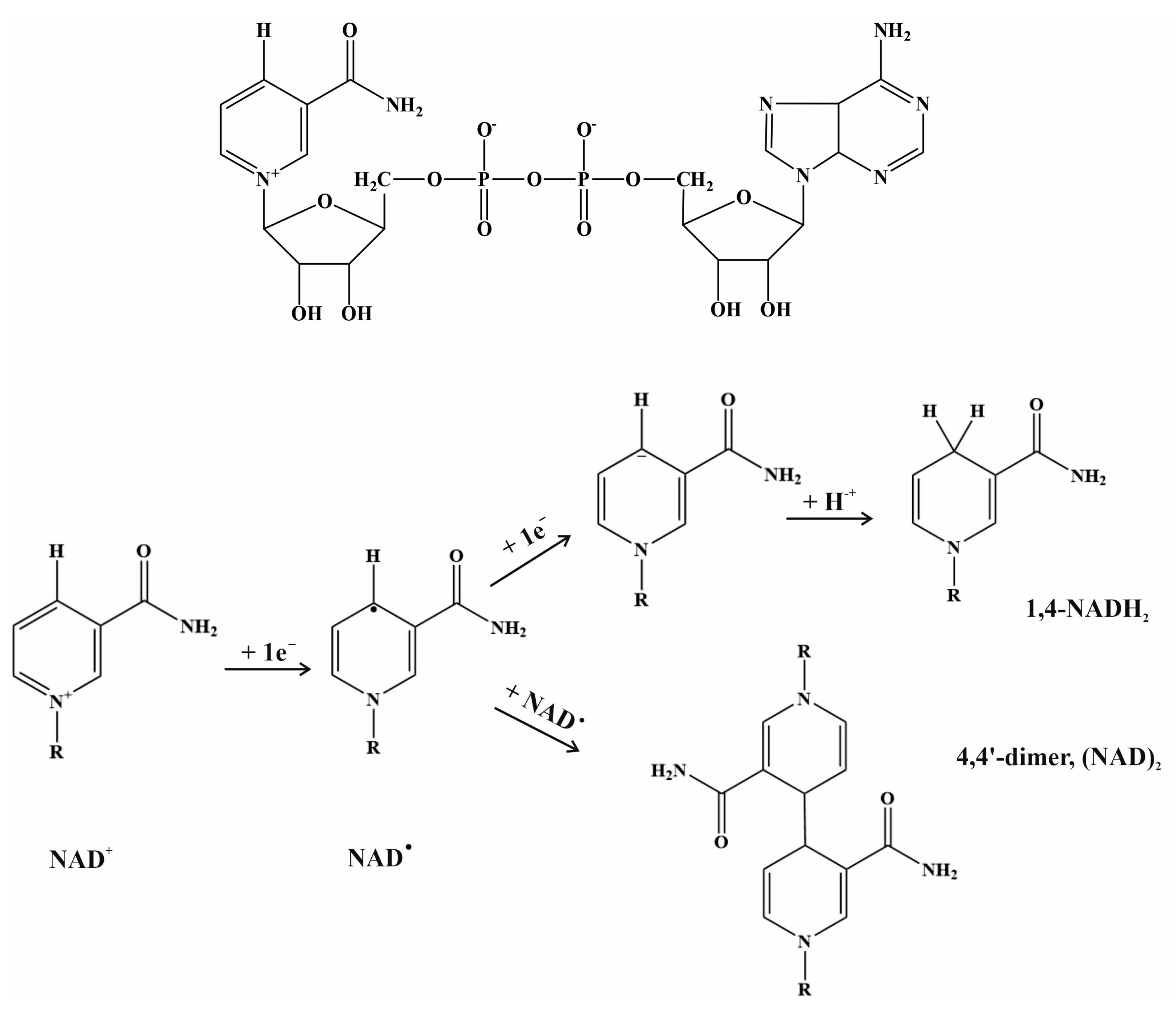 Molecules 28 05520 g011 Molecules 28 05520 g011