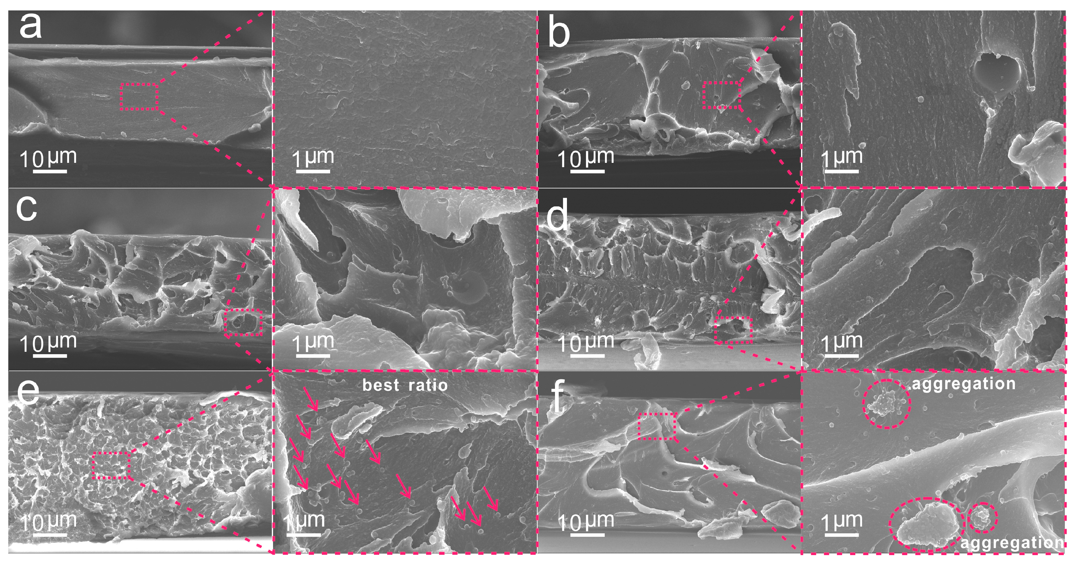Molecules 28 05523 g006