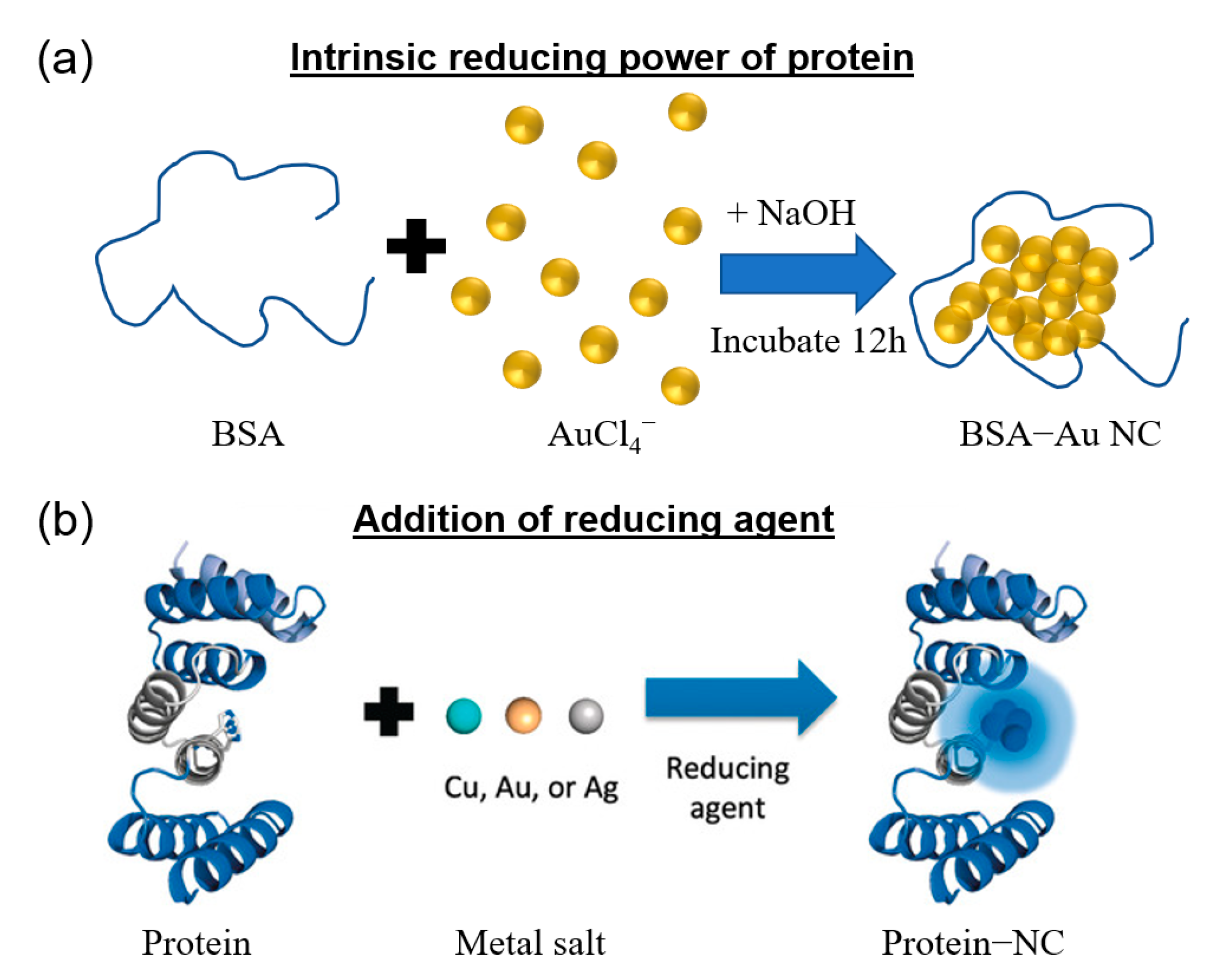 Molecules 28 05531 g002