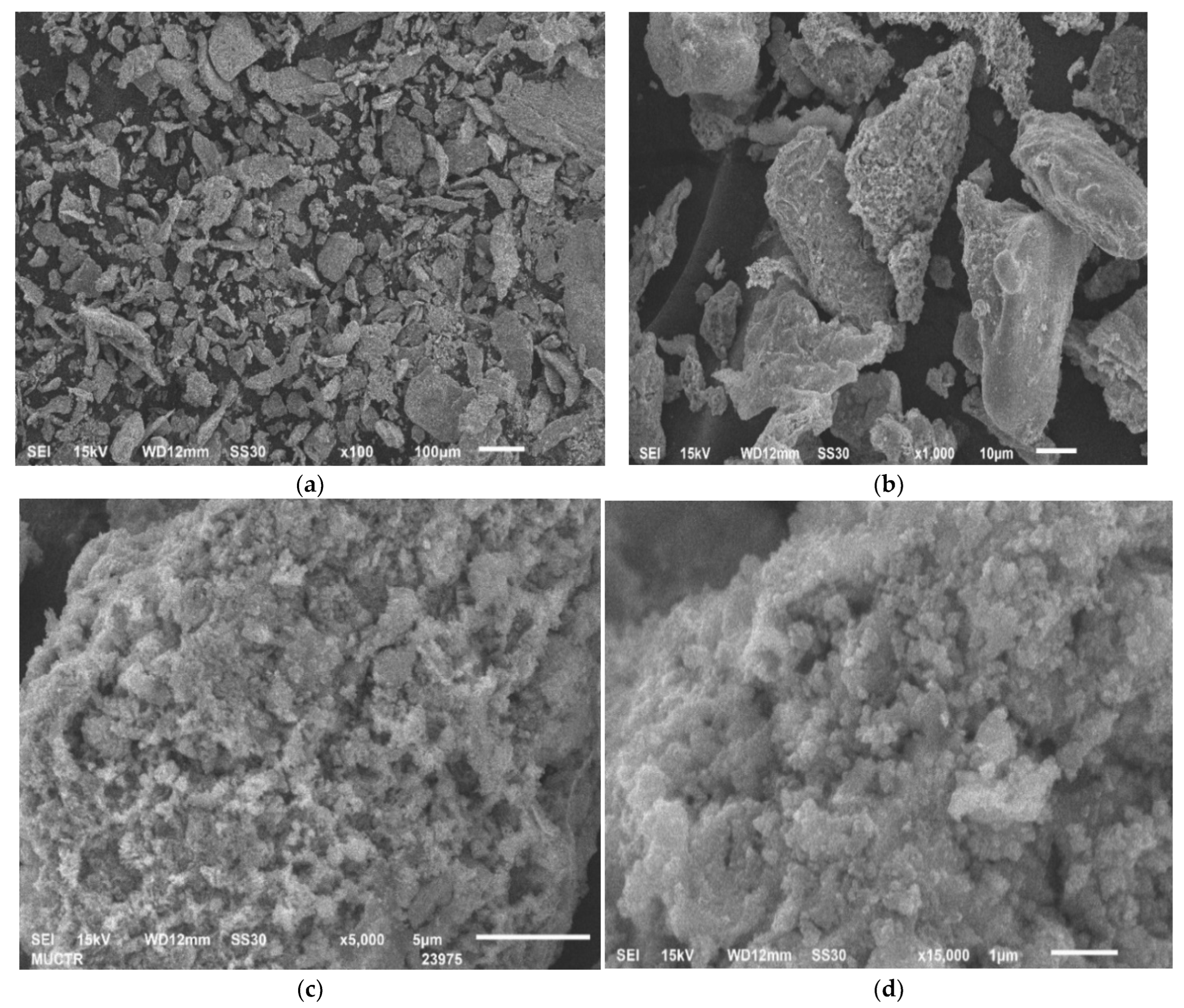 Molecules 28 05545 g001 Molecules 28 05545 g001