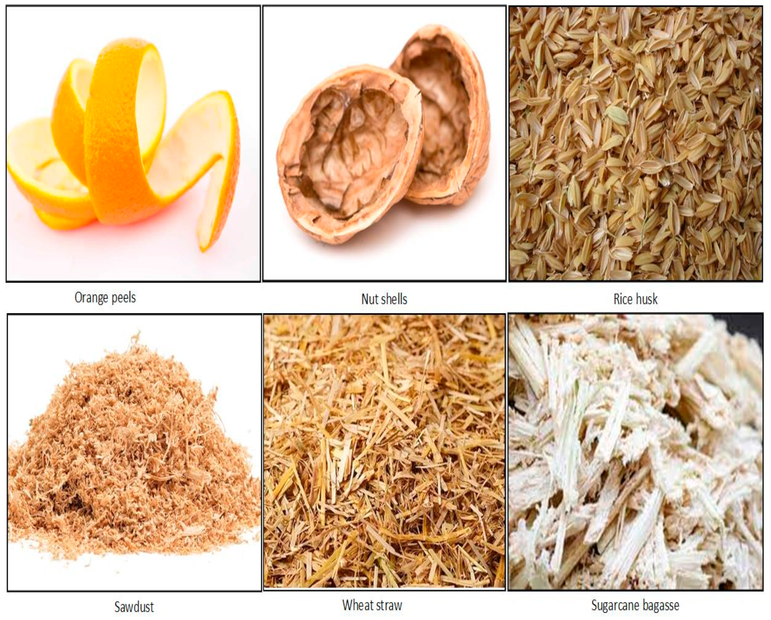 Molecules 28 05575 g002